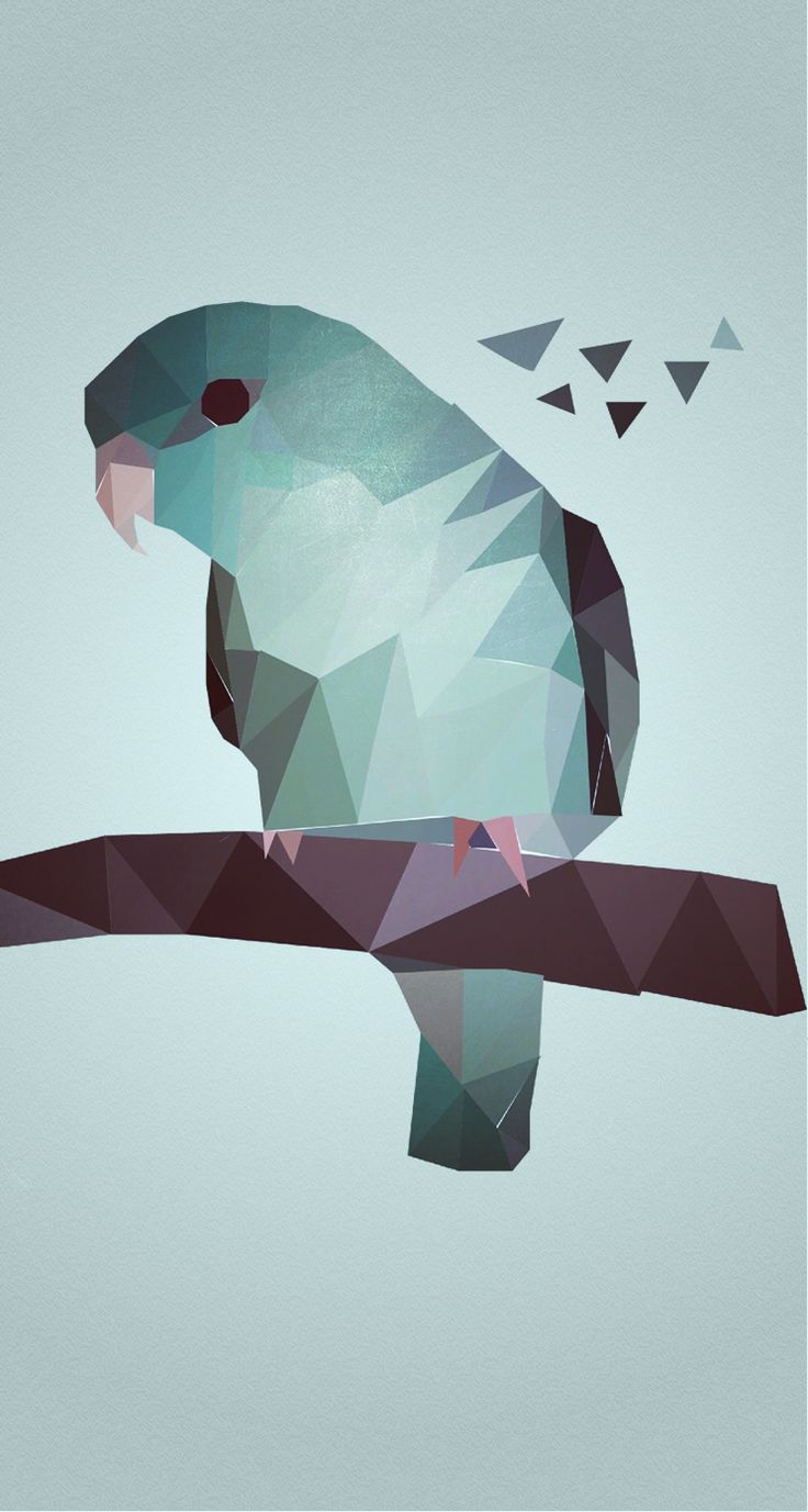 Geometric Bird Wallpapers