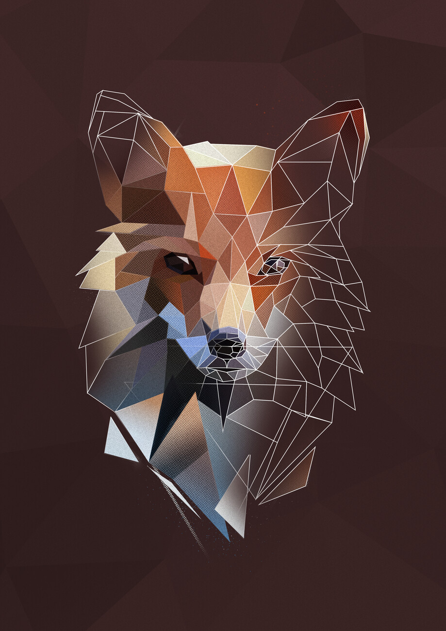 Geometric Fox Wallpapers