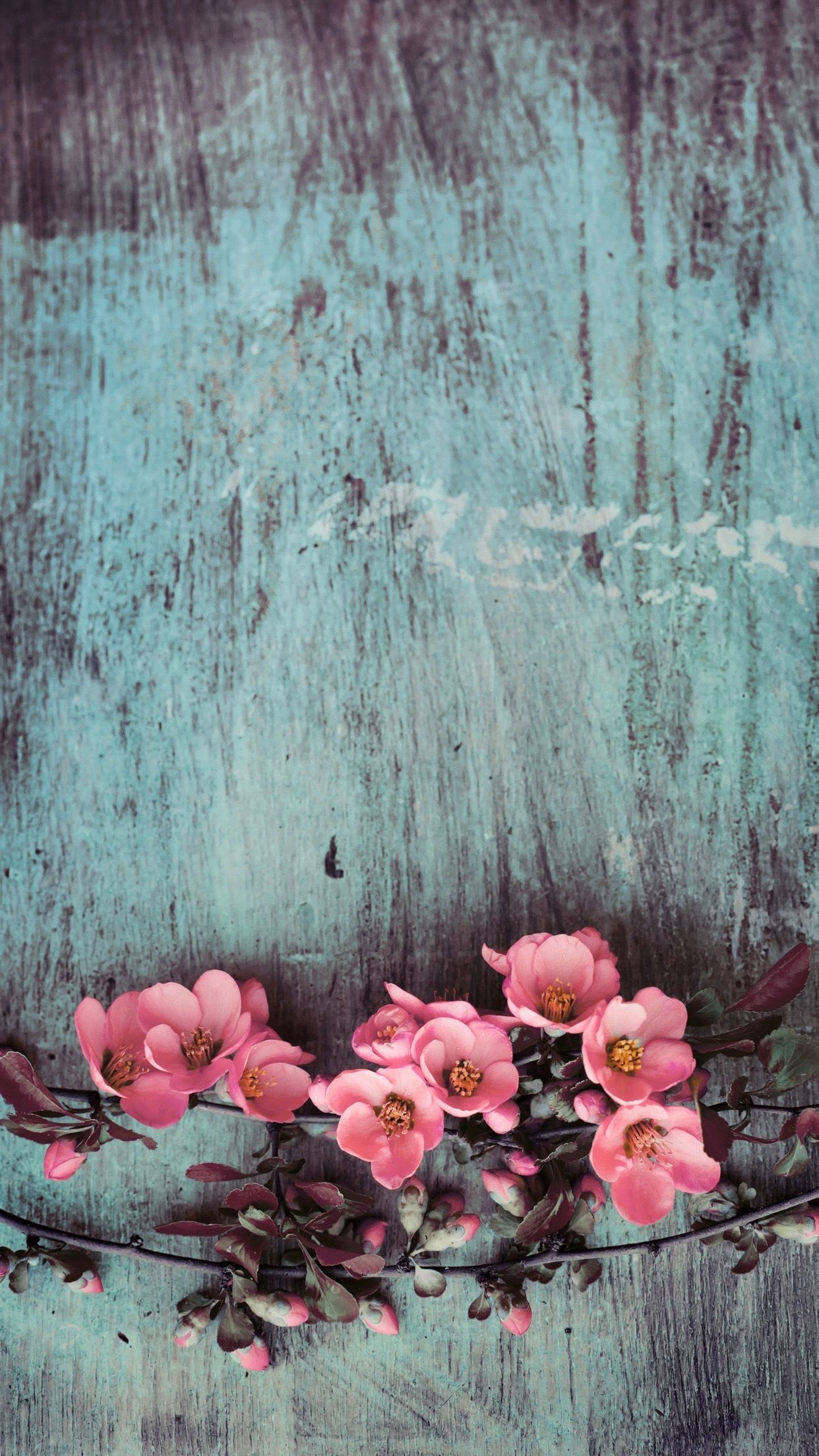 Girly Rustic Phone Wallpapers