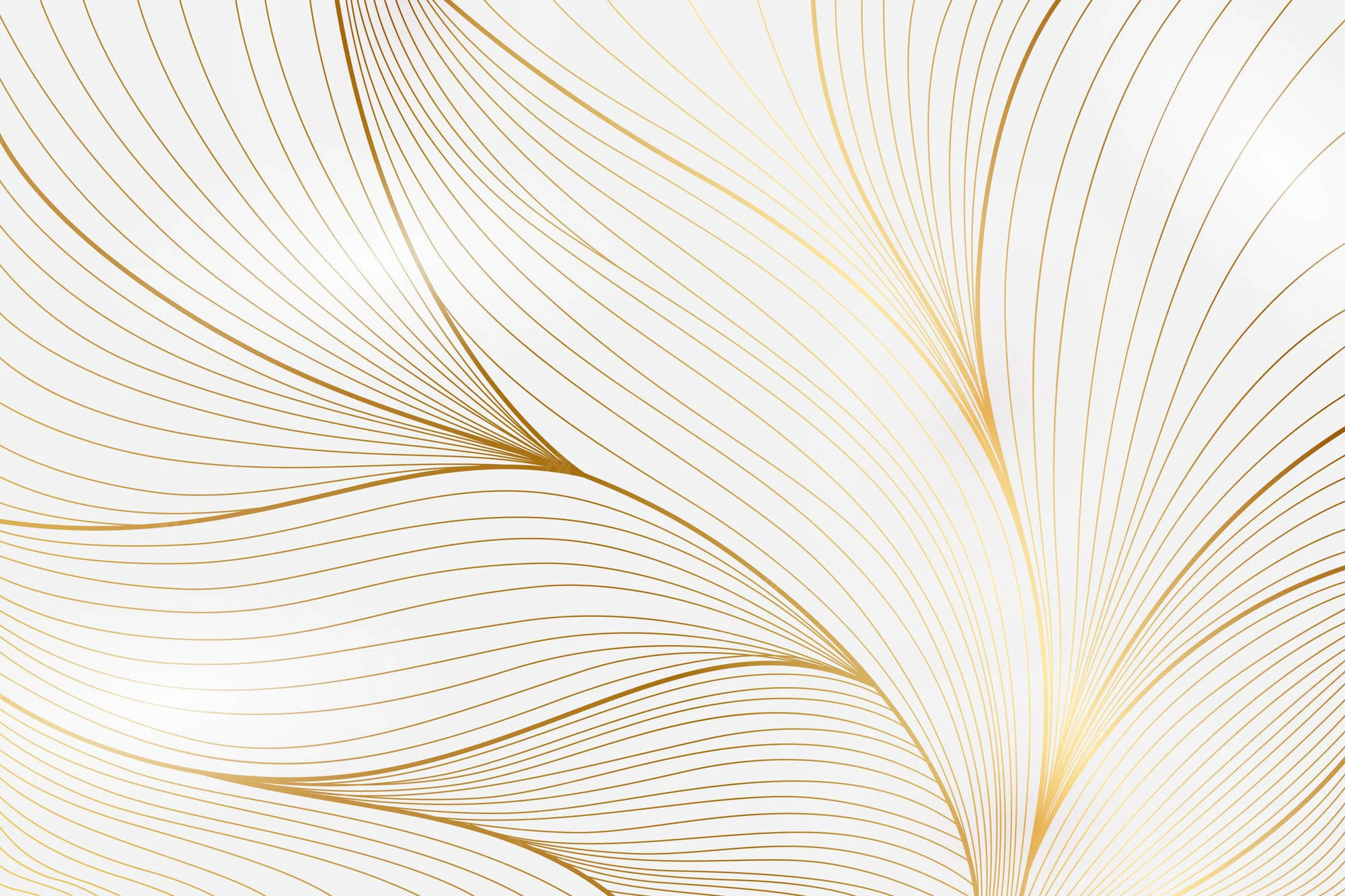 Gold And White Wallpapers