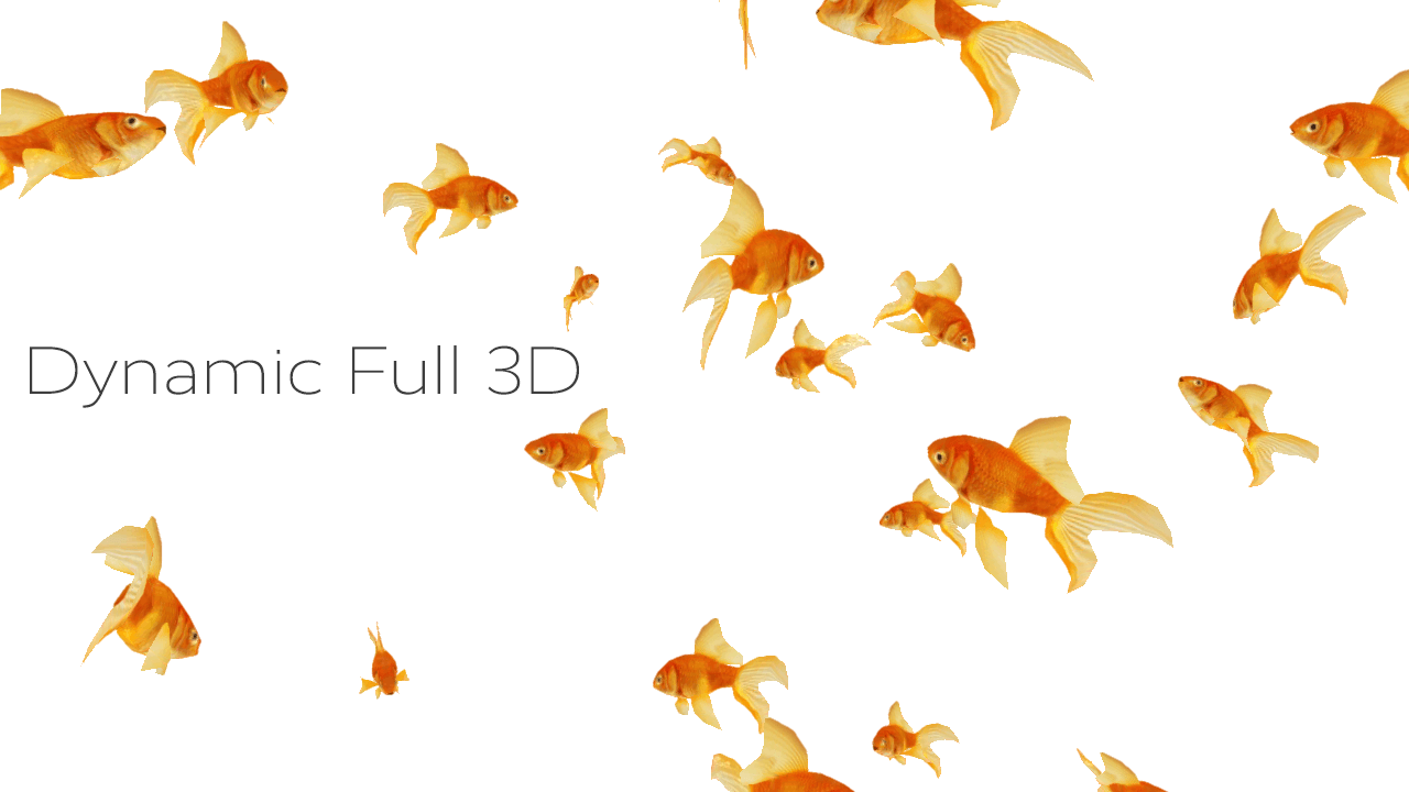 Gold Fish Live Wallpapers