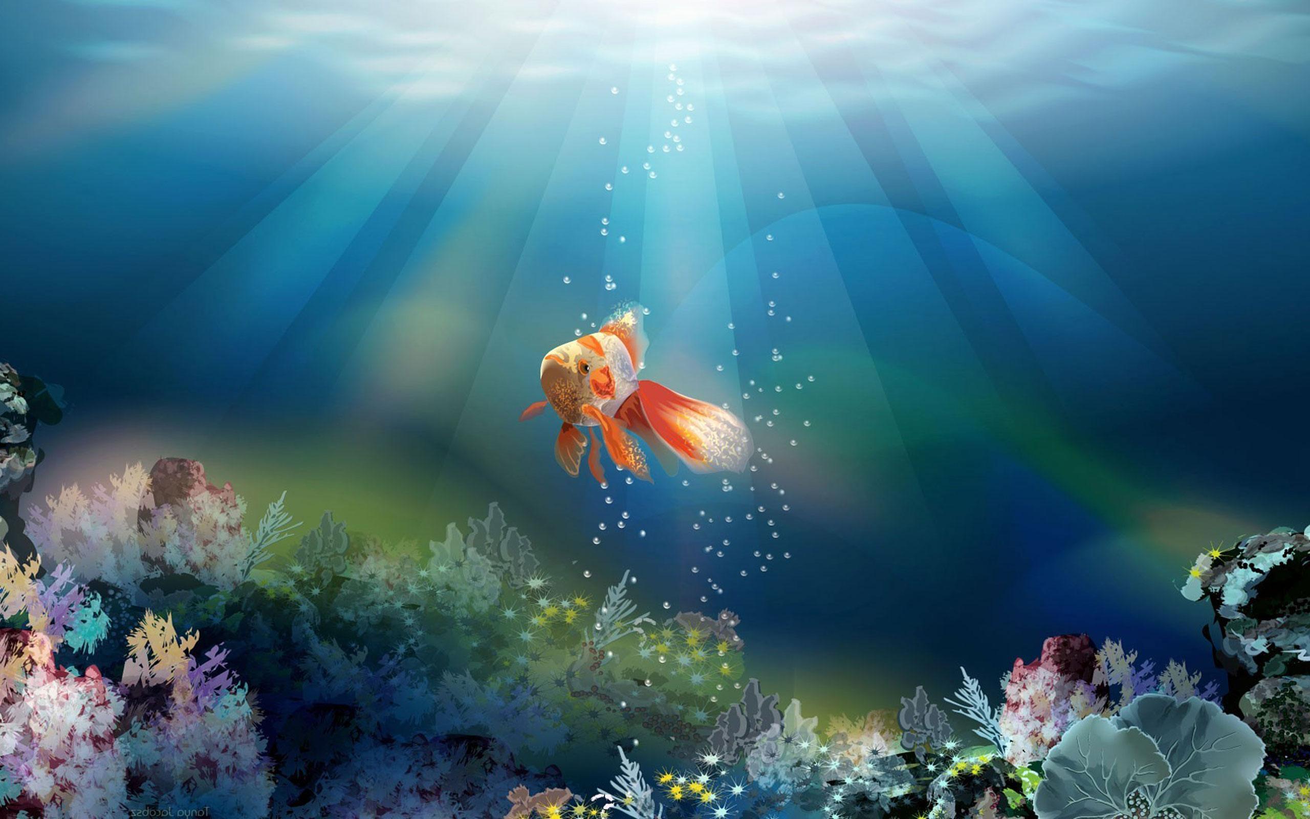 Gold Fish Live Wallpapers