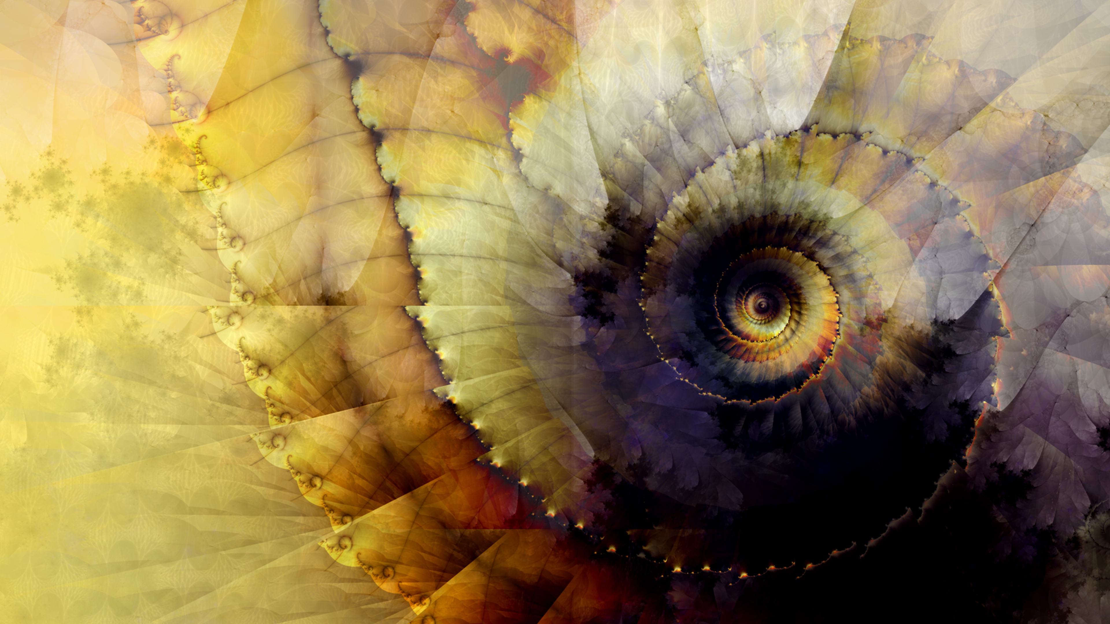 Golden Ratio Wallpapers