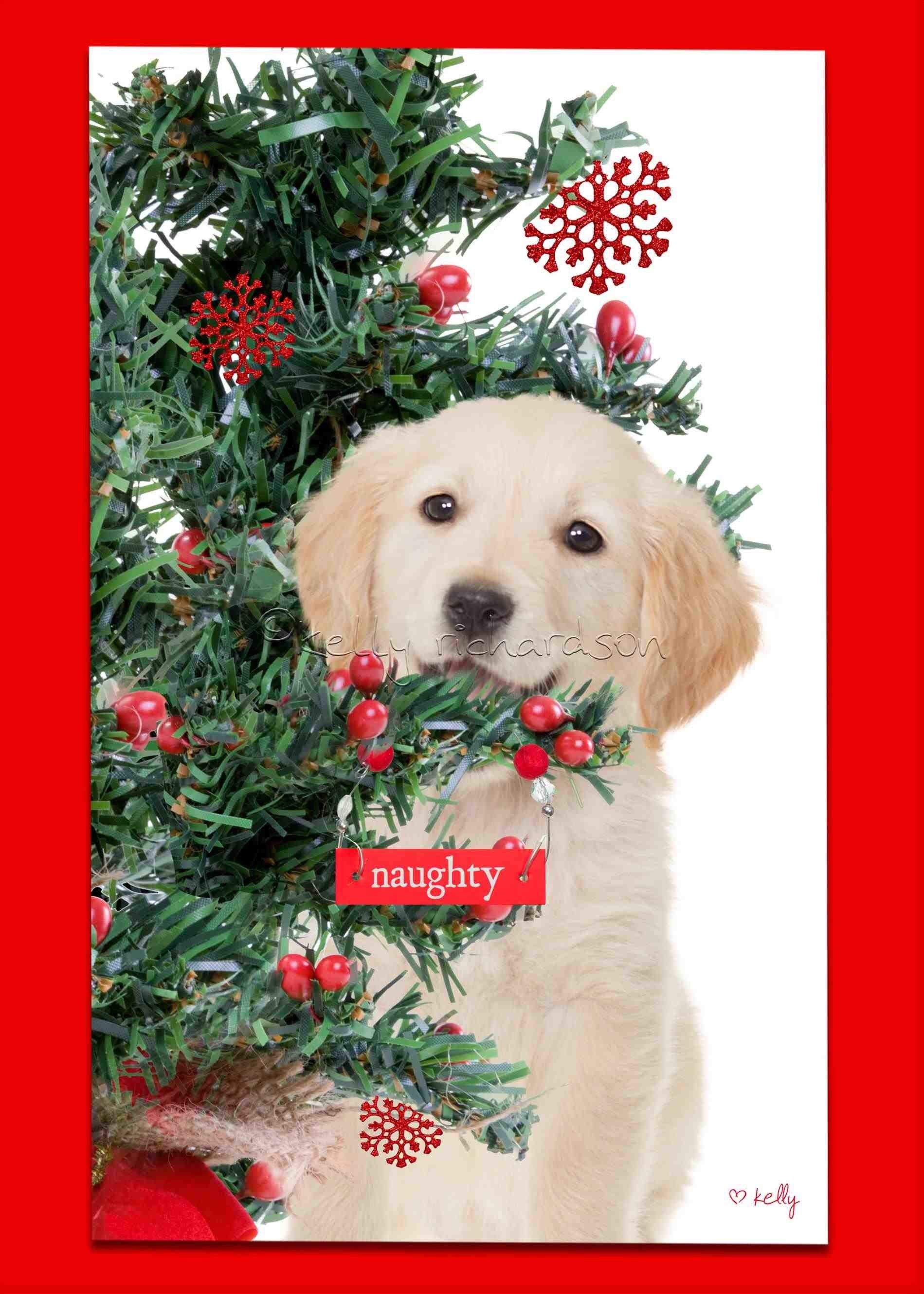 Golden Retriever Christmas Wallpapers