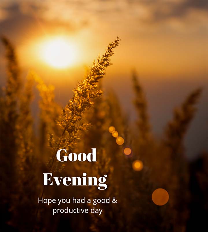 Good Evenings Wallpapers