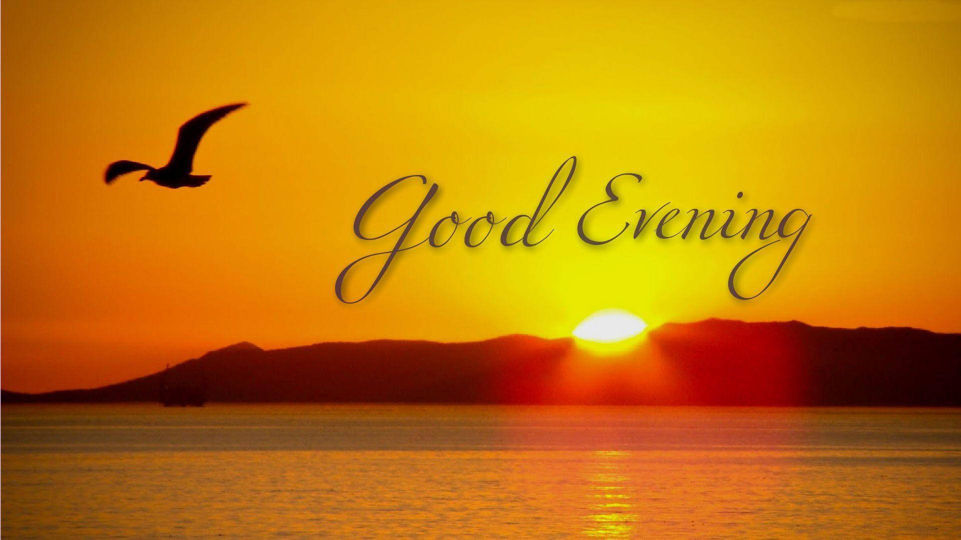 Good Evenings Wallpapers