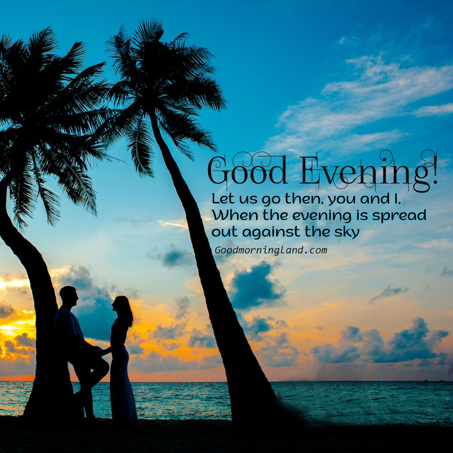 Good Evenings Wallpapers