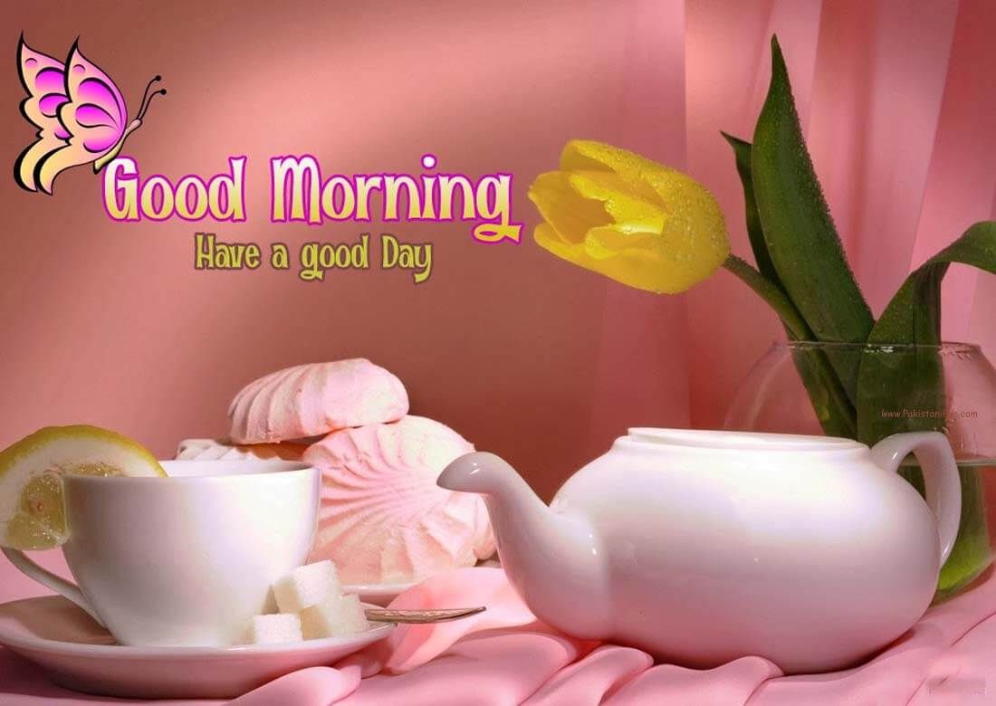 Good Morning Images Download Wallpapers