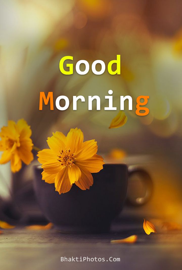 Good Morning Images Download Wallpapers