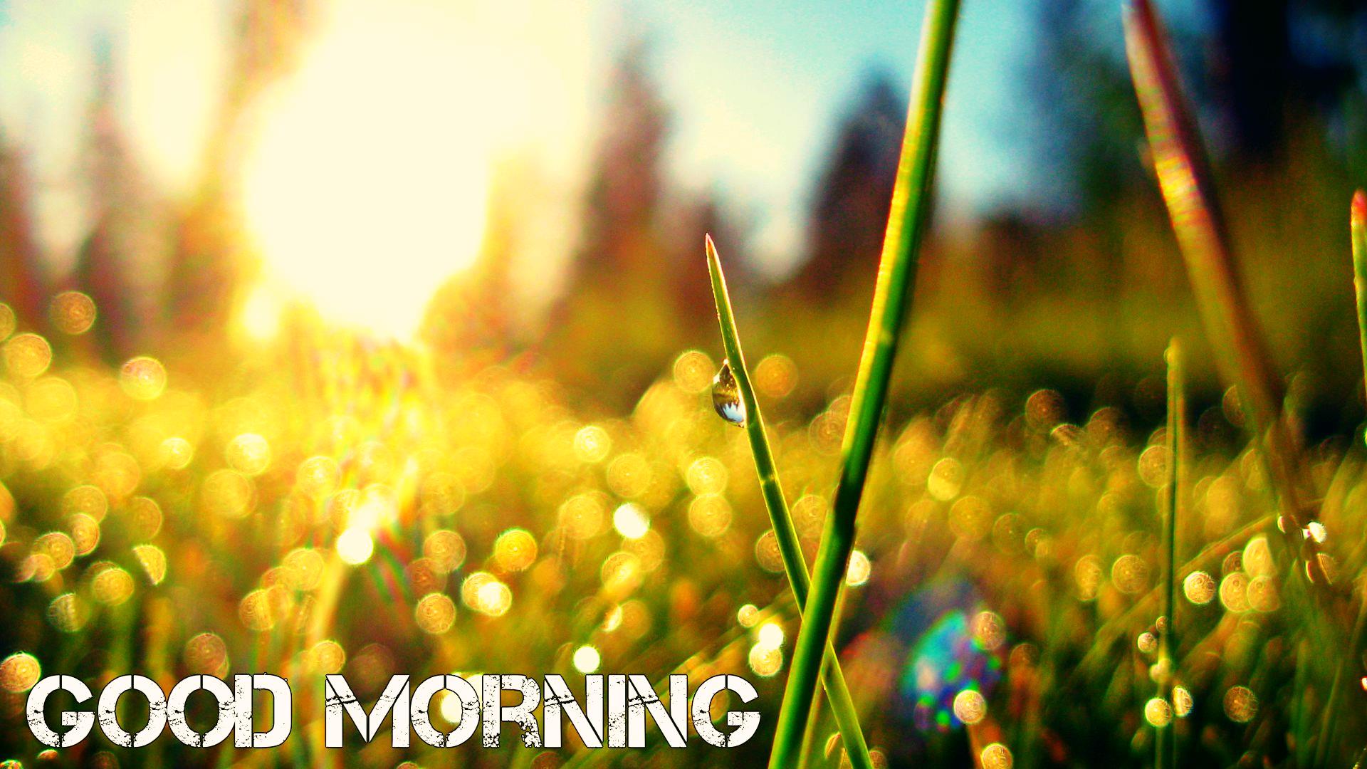 Good Morning Images Download Wallpapers