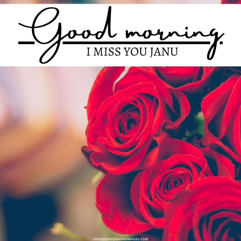 Good Morning Jaan Wallpapers