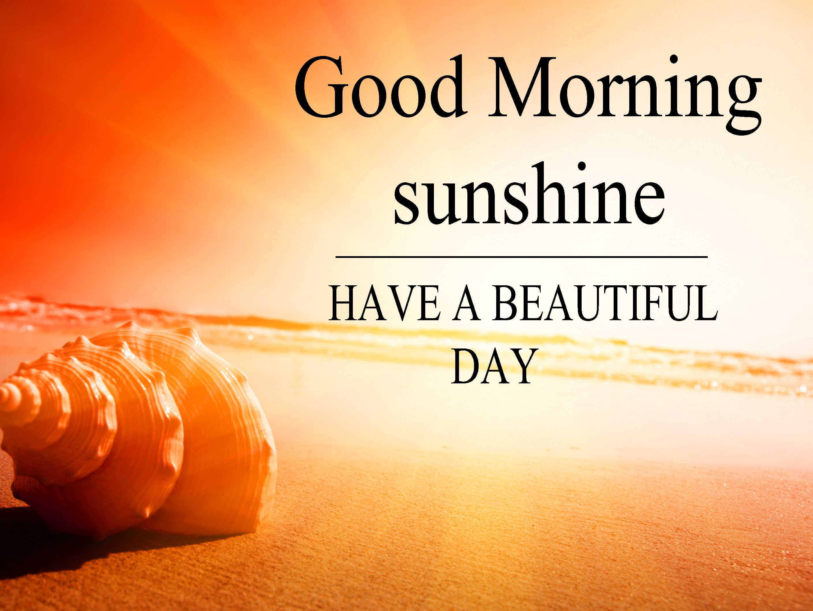 Good Morning Sunshine Pictures Wallpapers