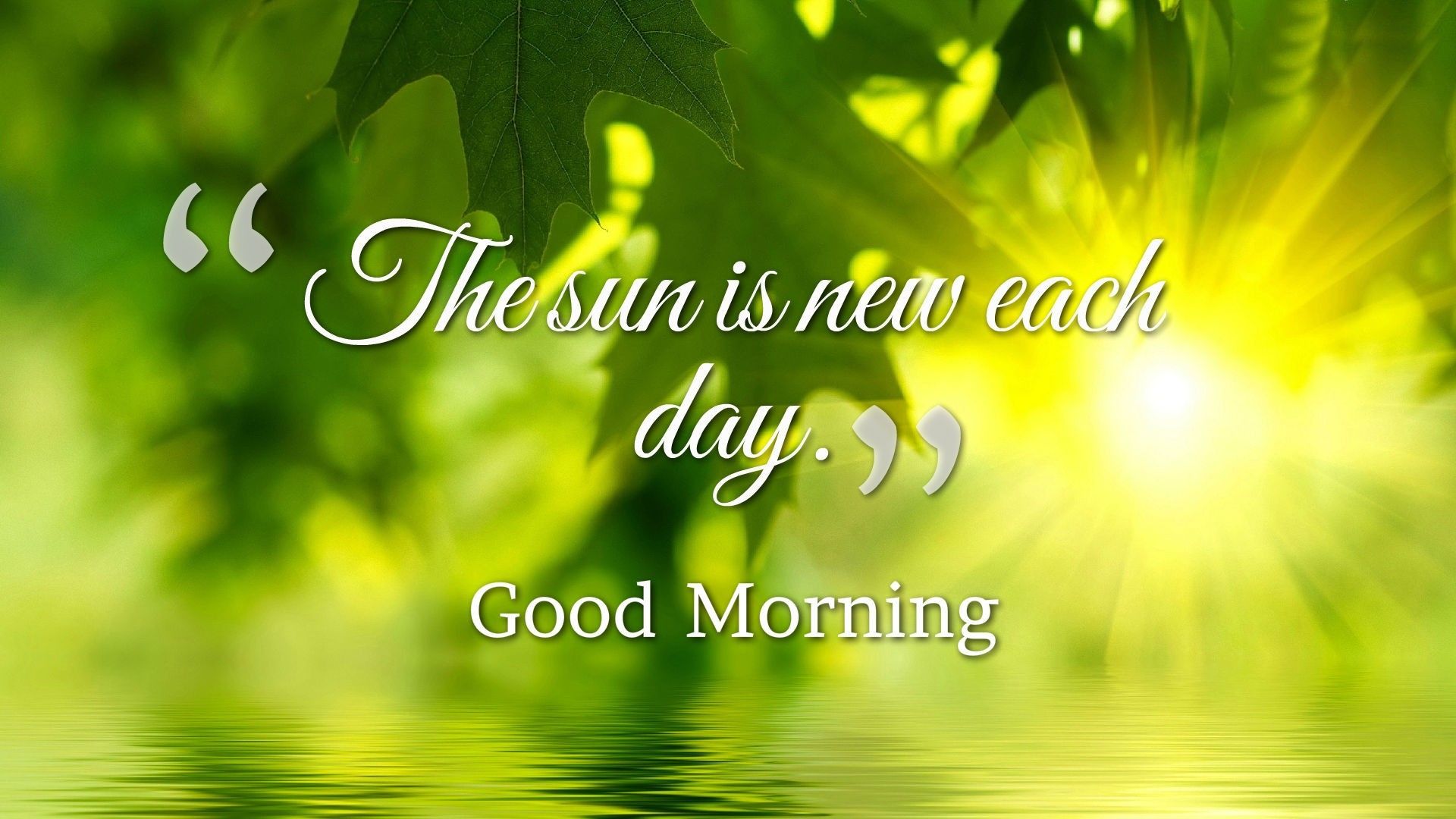 Good Morning Sunshine Pictures Wallpapers