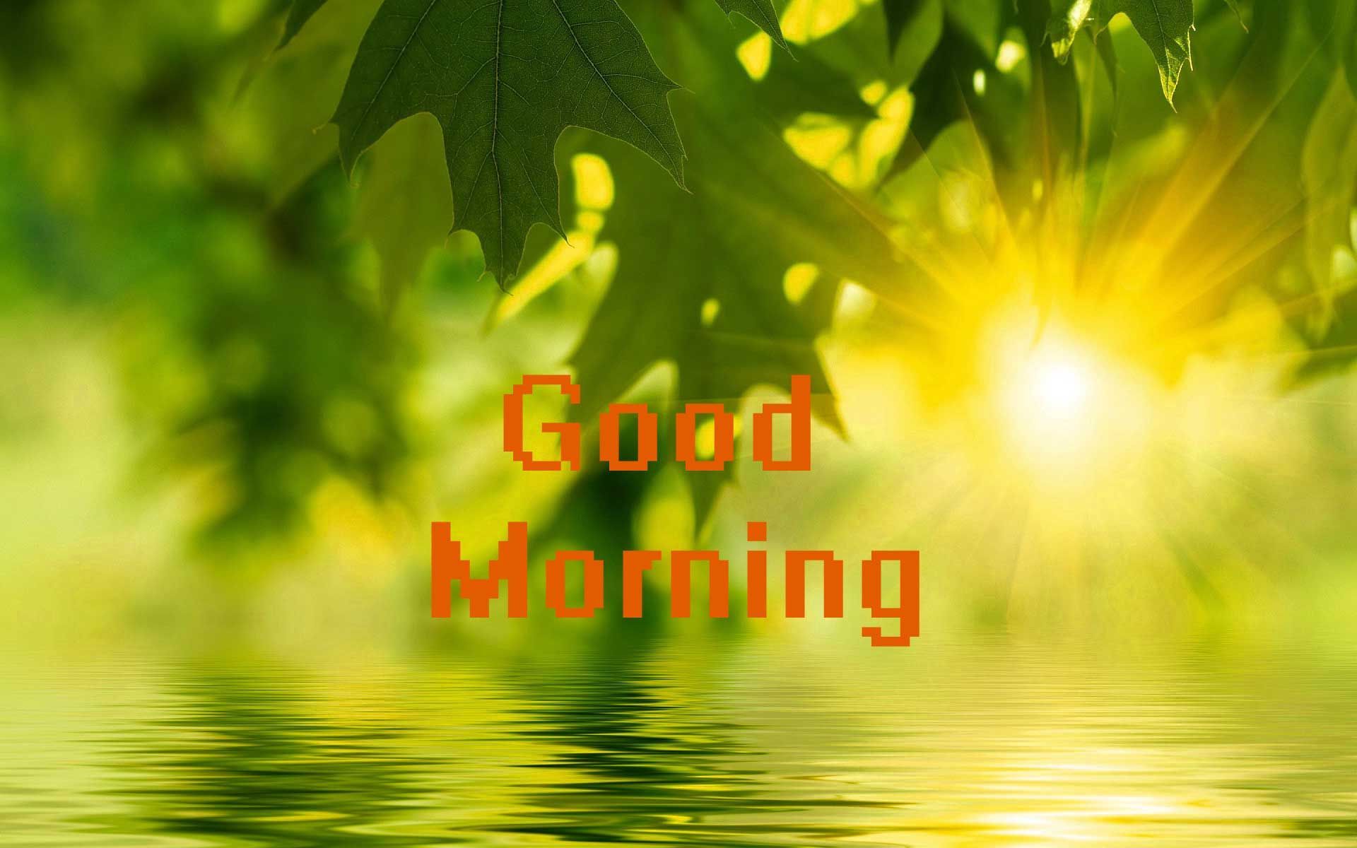 Good Morning Sunshine Pictures Wallpapers