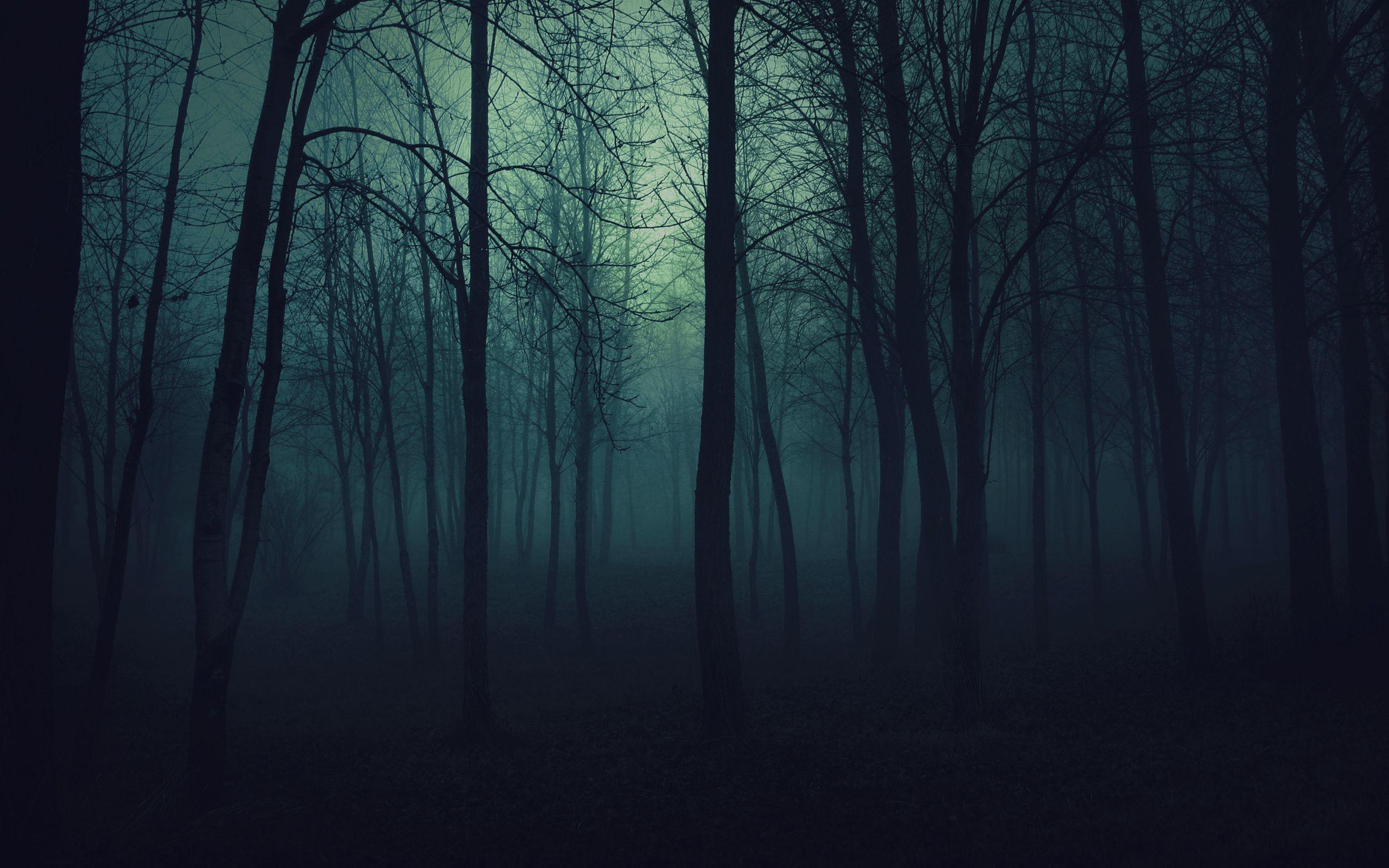 Gothic Forest Wallpapers