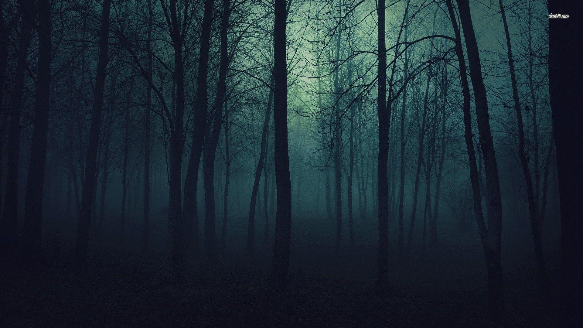 Gothic Forest Wallpapers