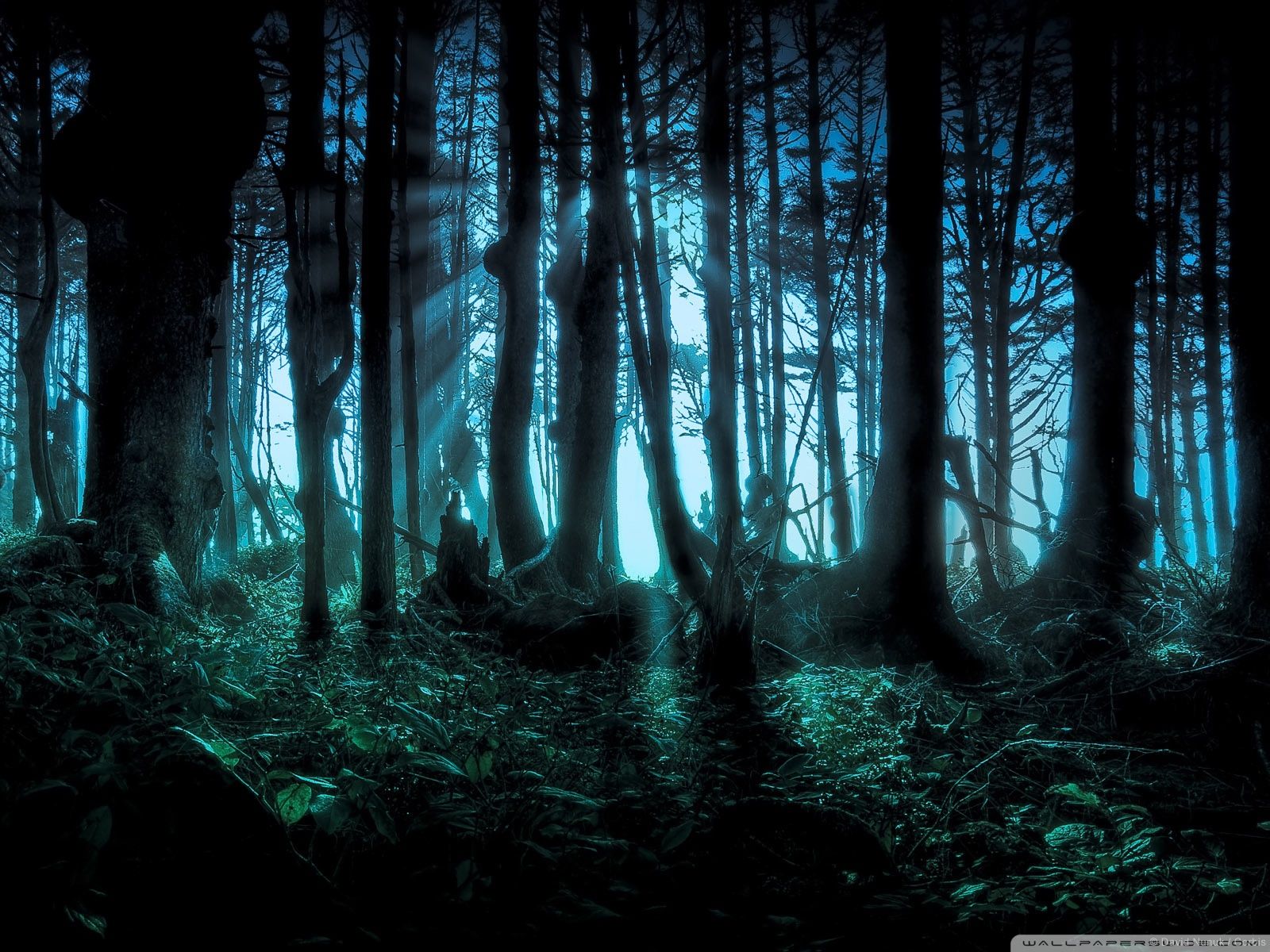 Gothic Forest Wallpapers