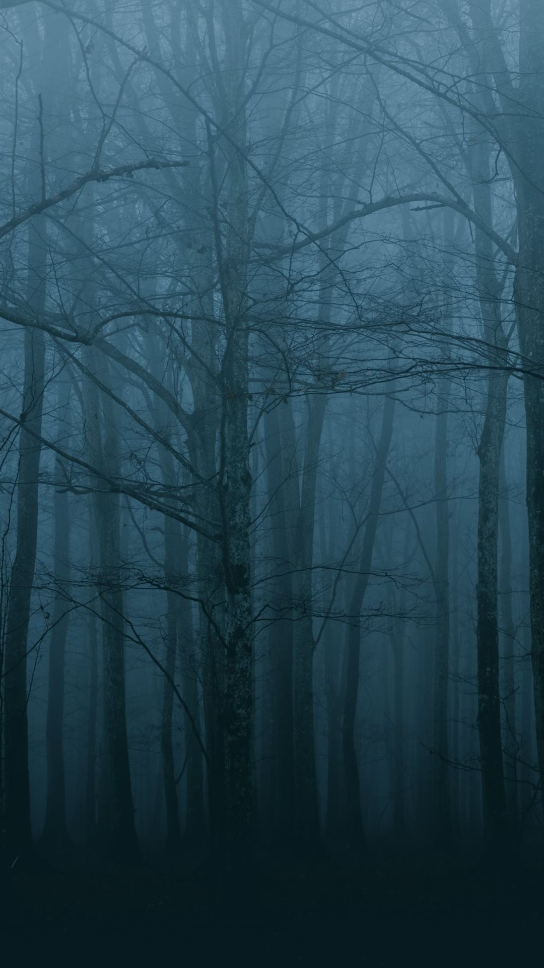 Gothic Forest Wallpapers