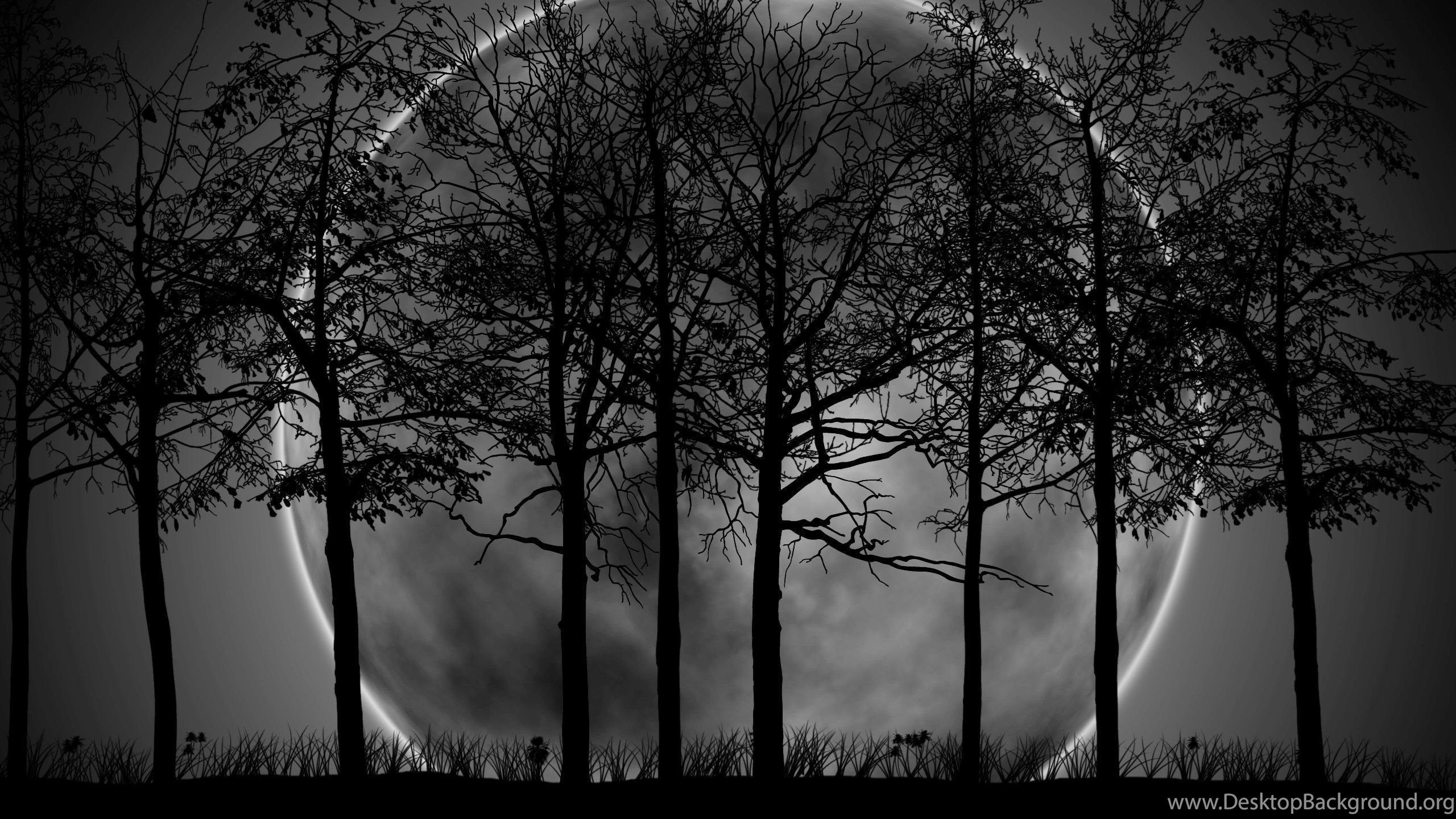 Gothic Forest Wallpapers