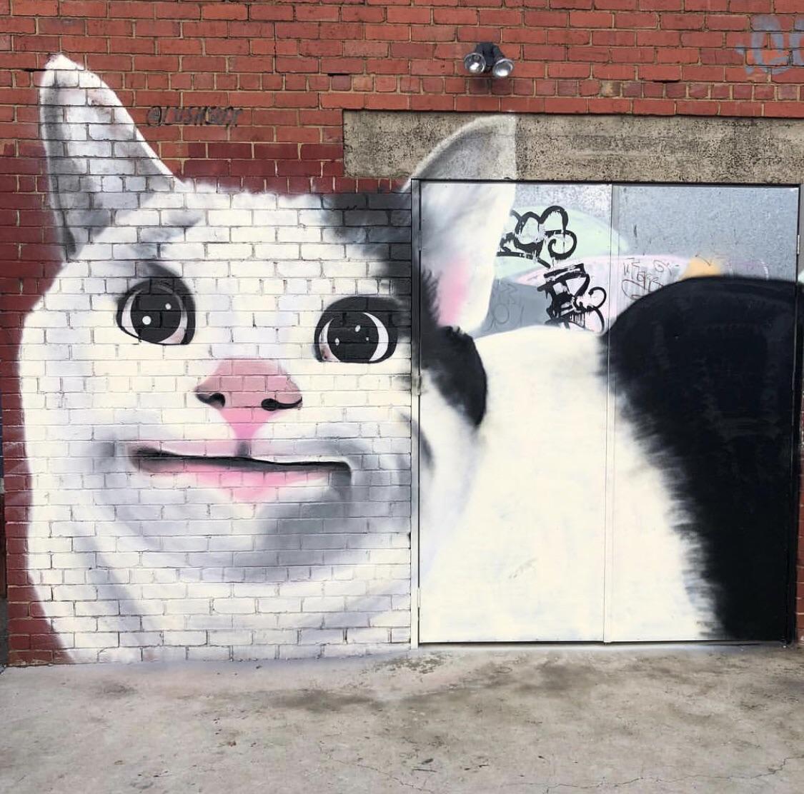 Graffiti Cat Wallpapers