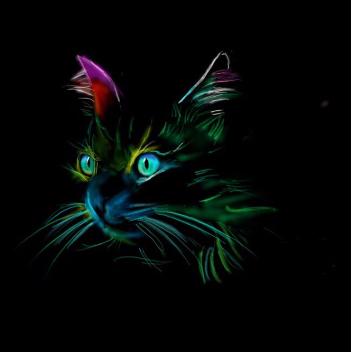 Graffiti Cat Wallpapers