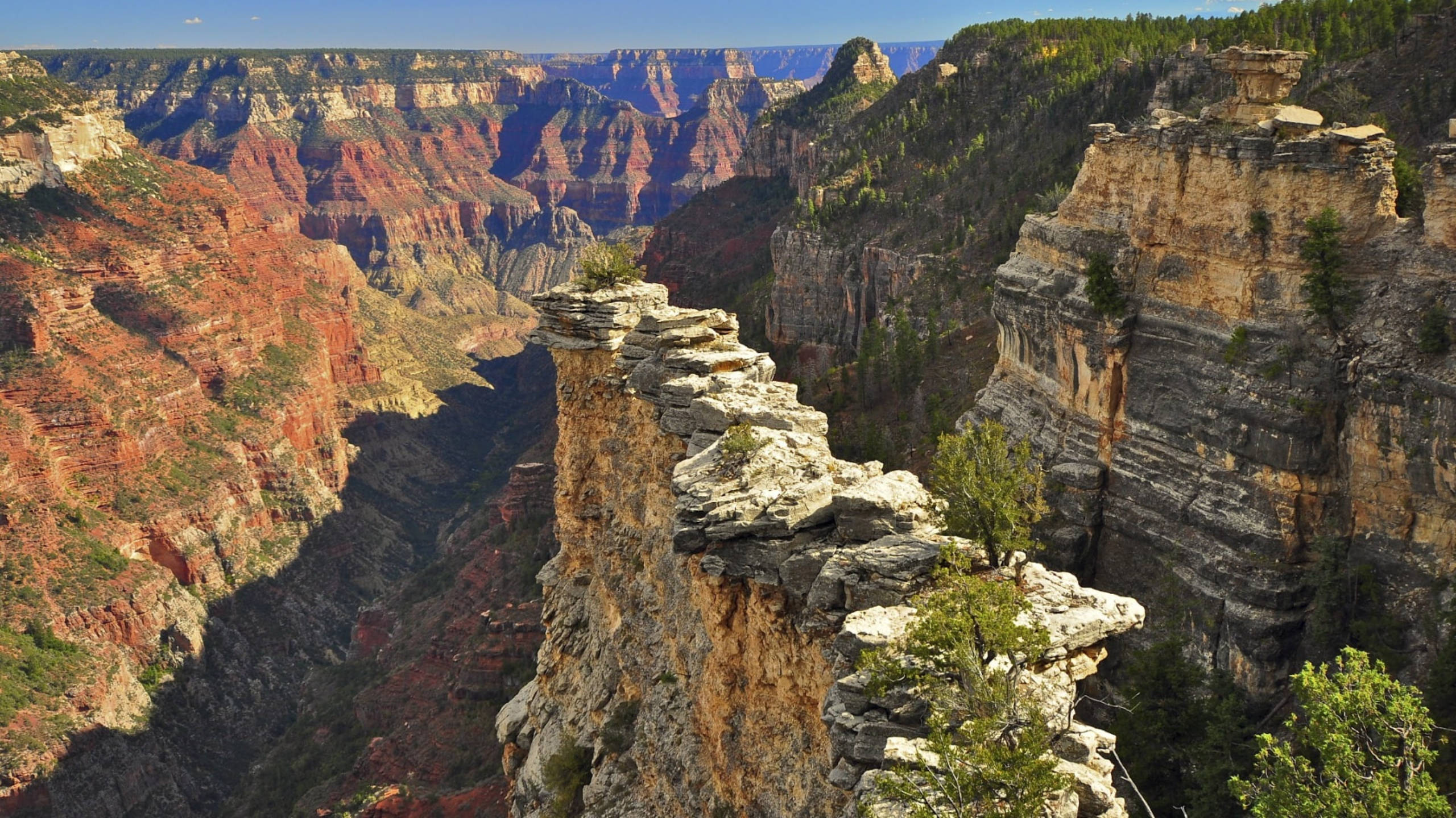 Grand Canyon 4K Wallpapers