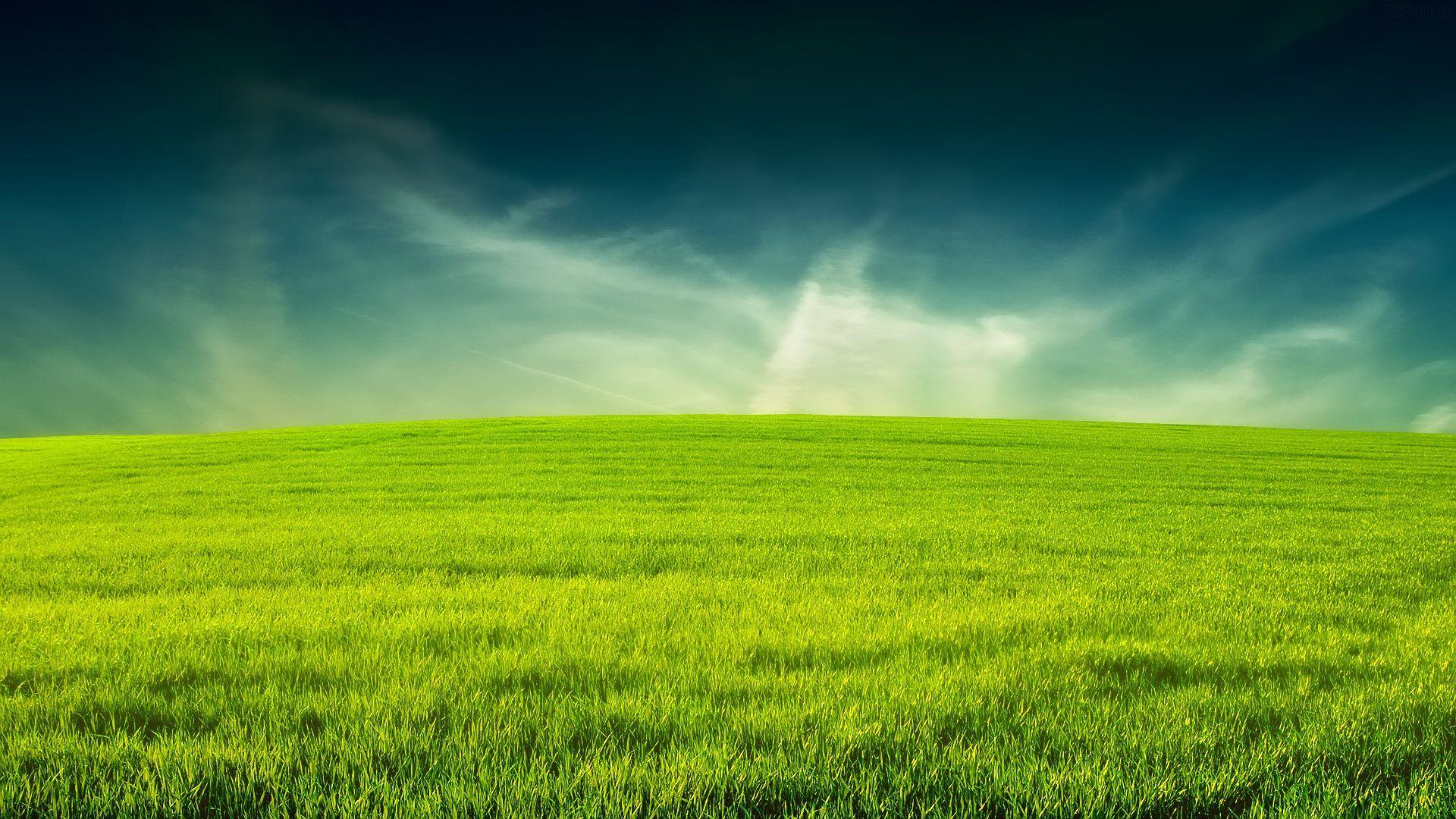 Grass Hd Wallpapers