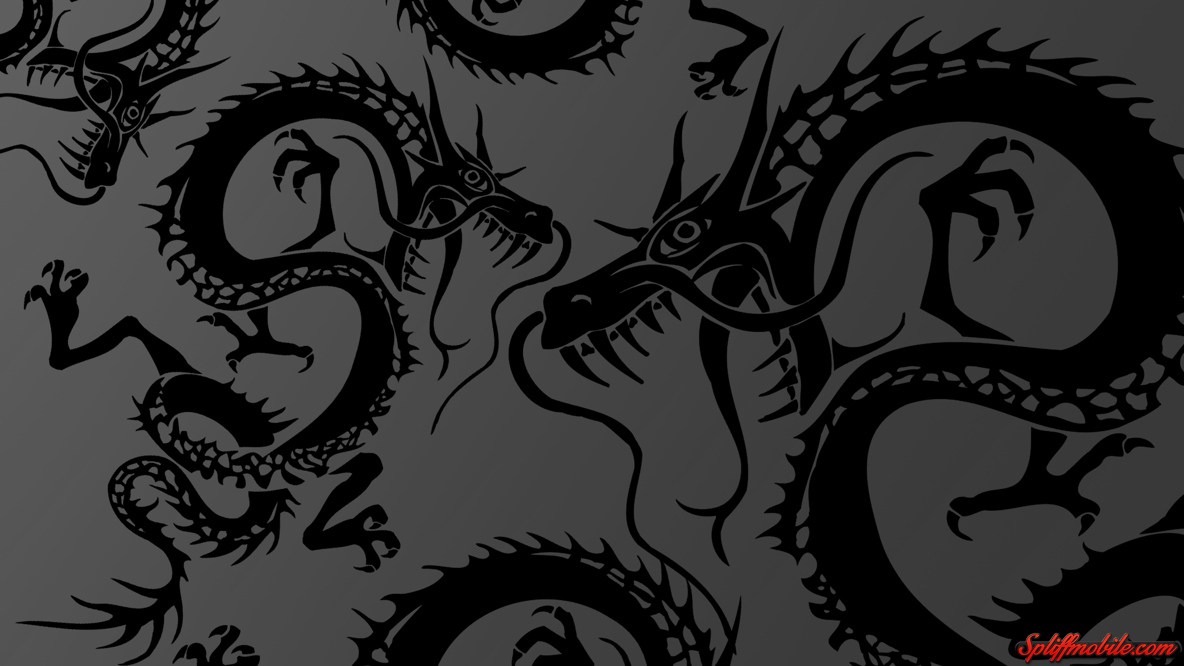 Gray Dragons Wallpapers