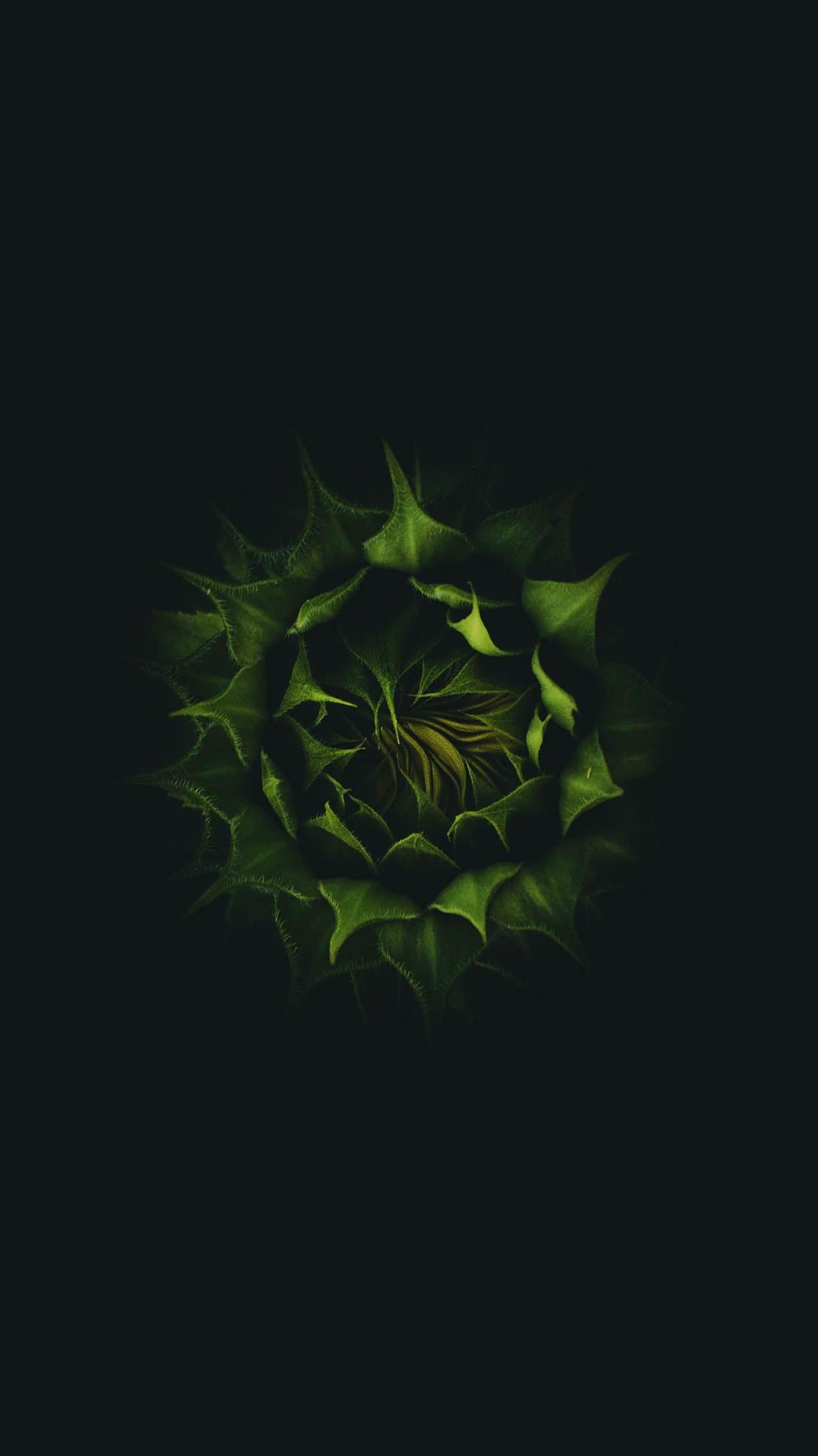 Green And Black Wallpapers