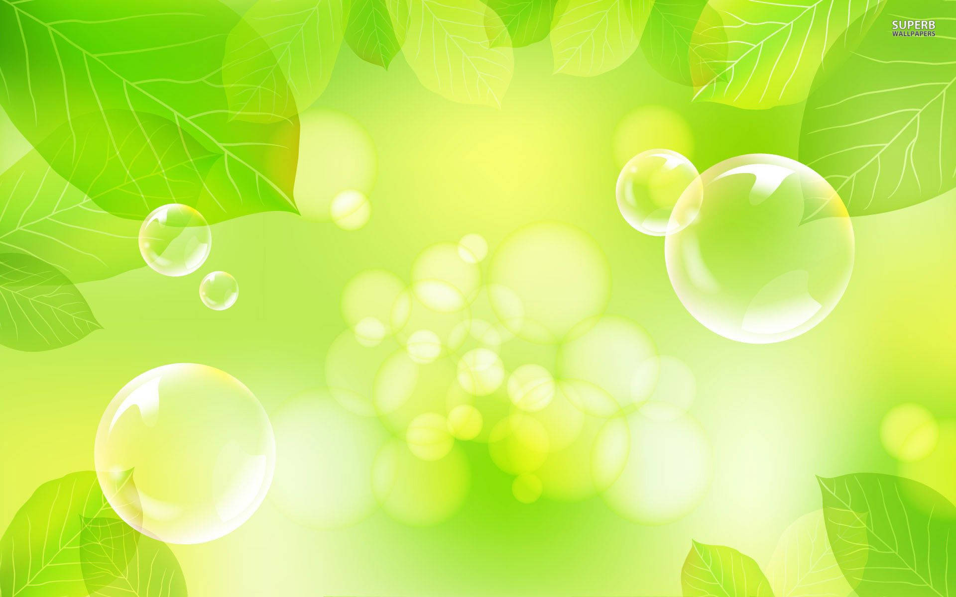 Green Bubbles Wallpapers