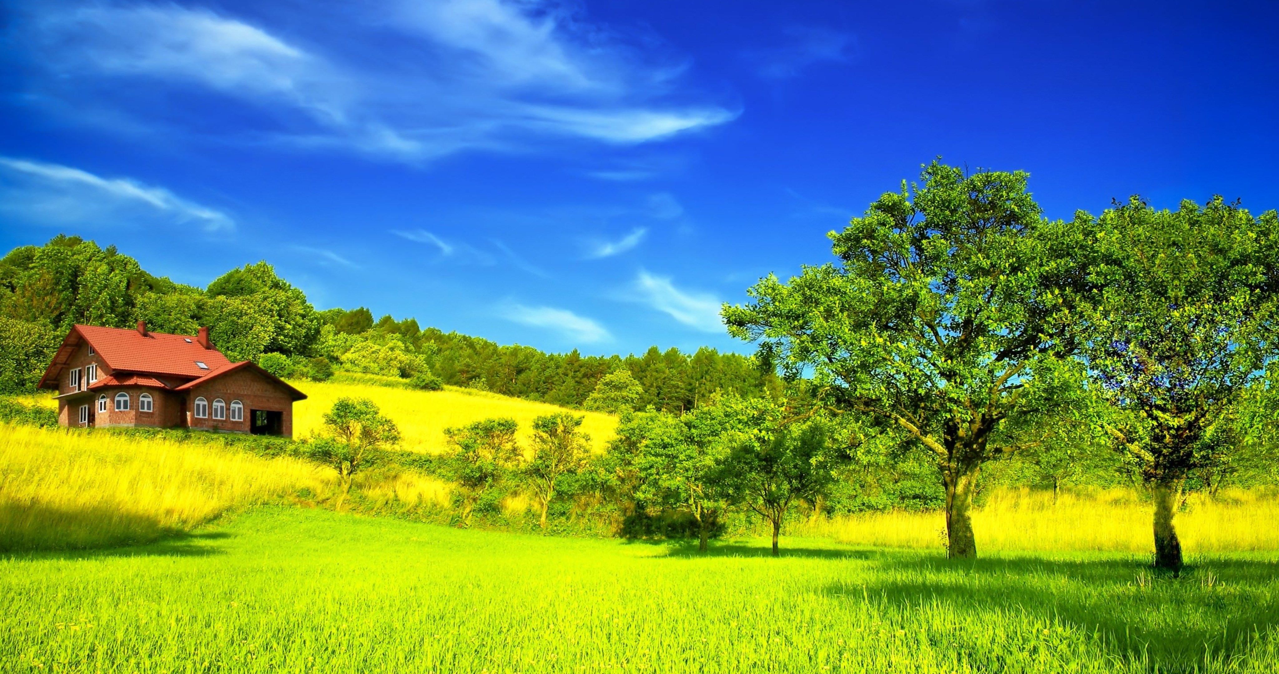 Green Field Wallpapers