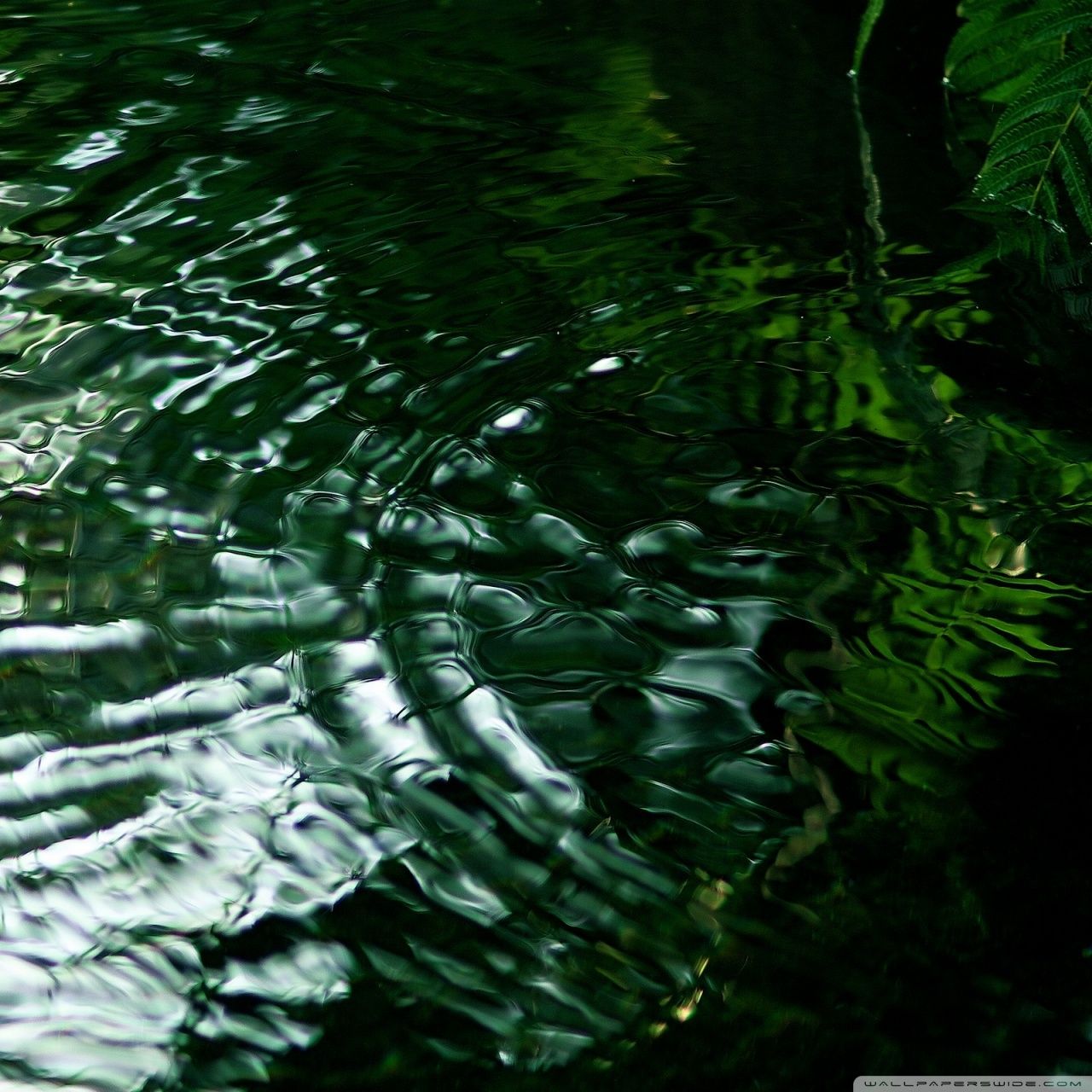 Green Water Wallpapers