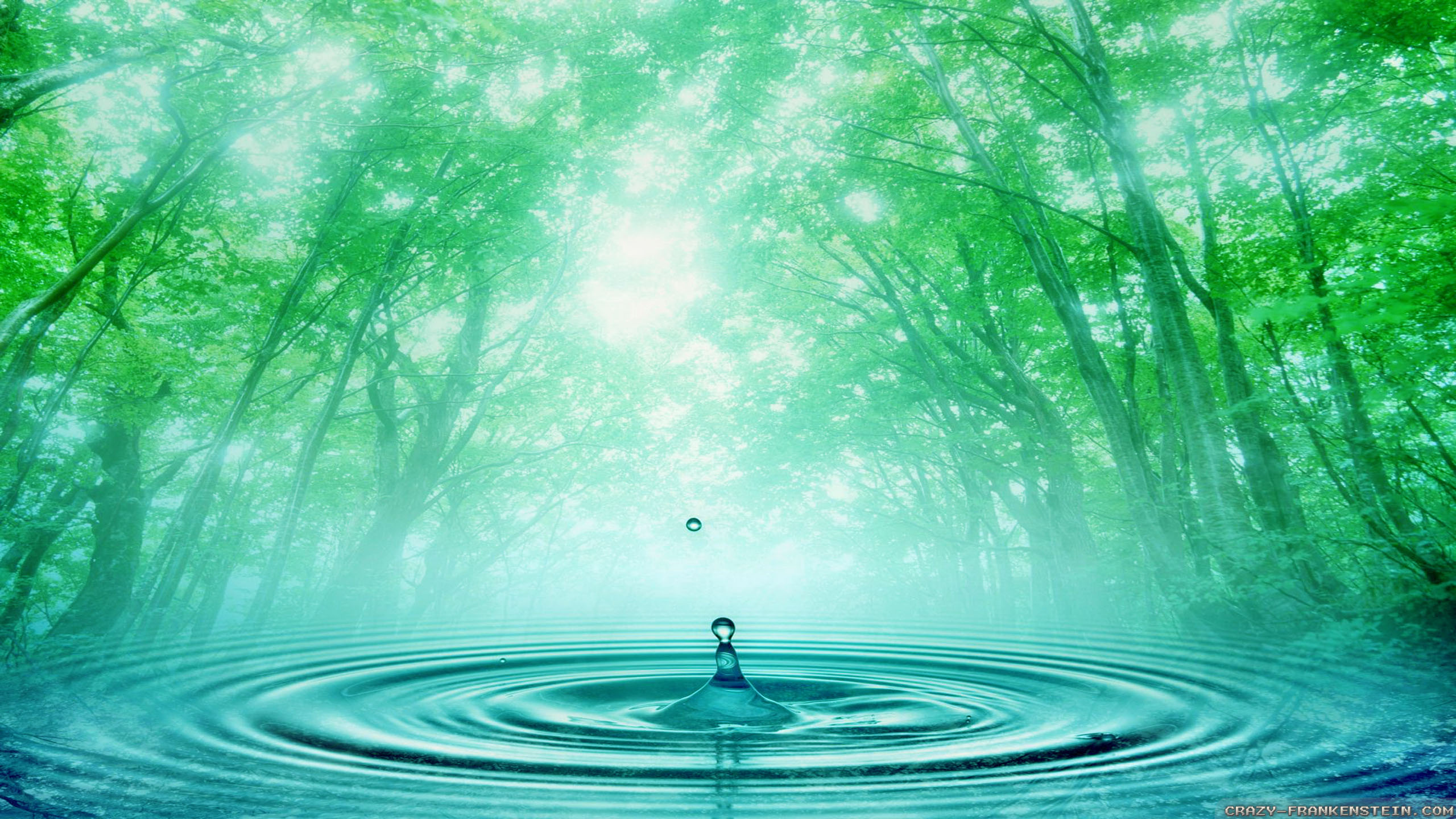 Green Water Wallpapers