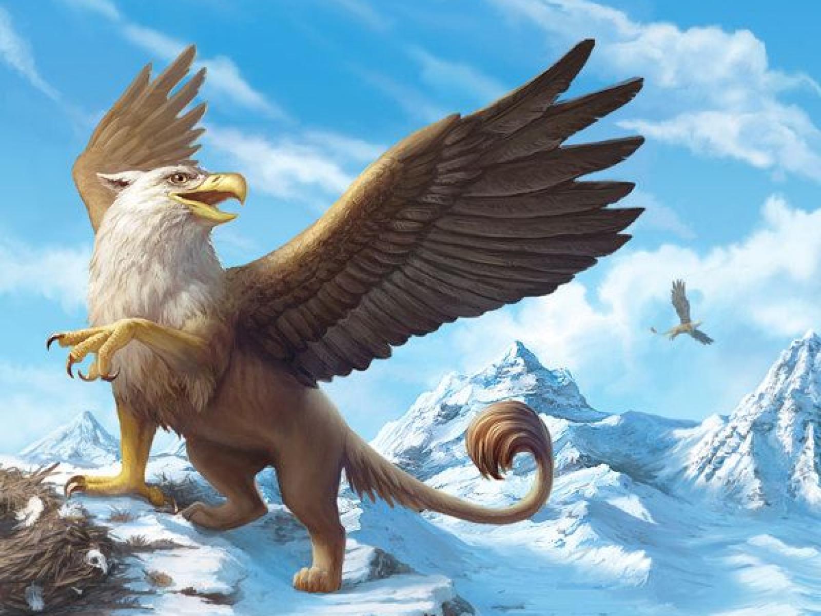 Griffins Mythical Creatures Wallpapers