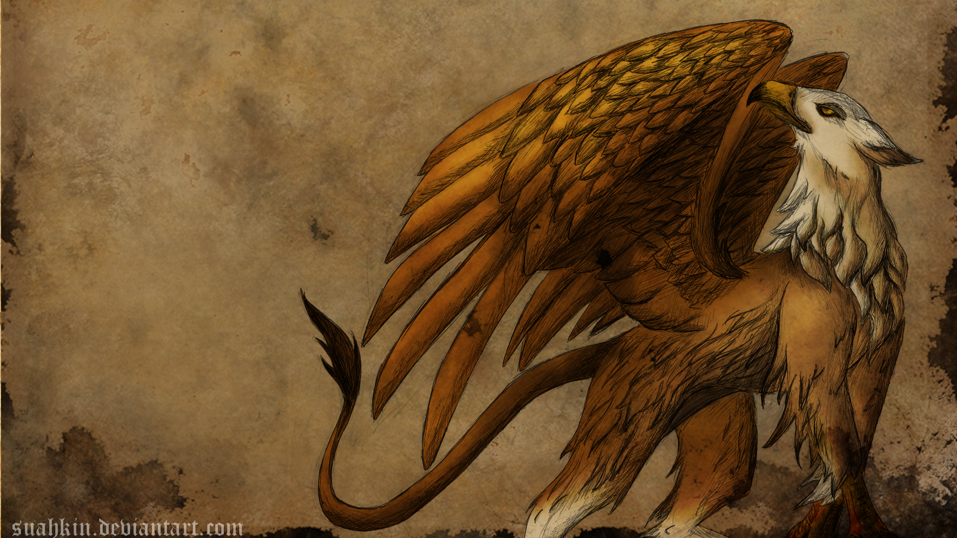 Griffins Mythical Creatures Wallpapers