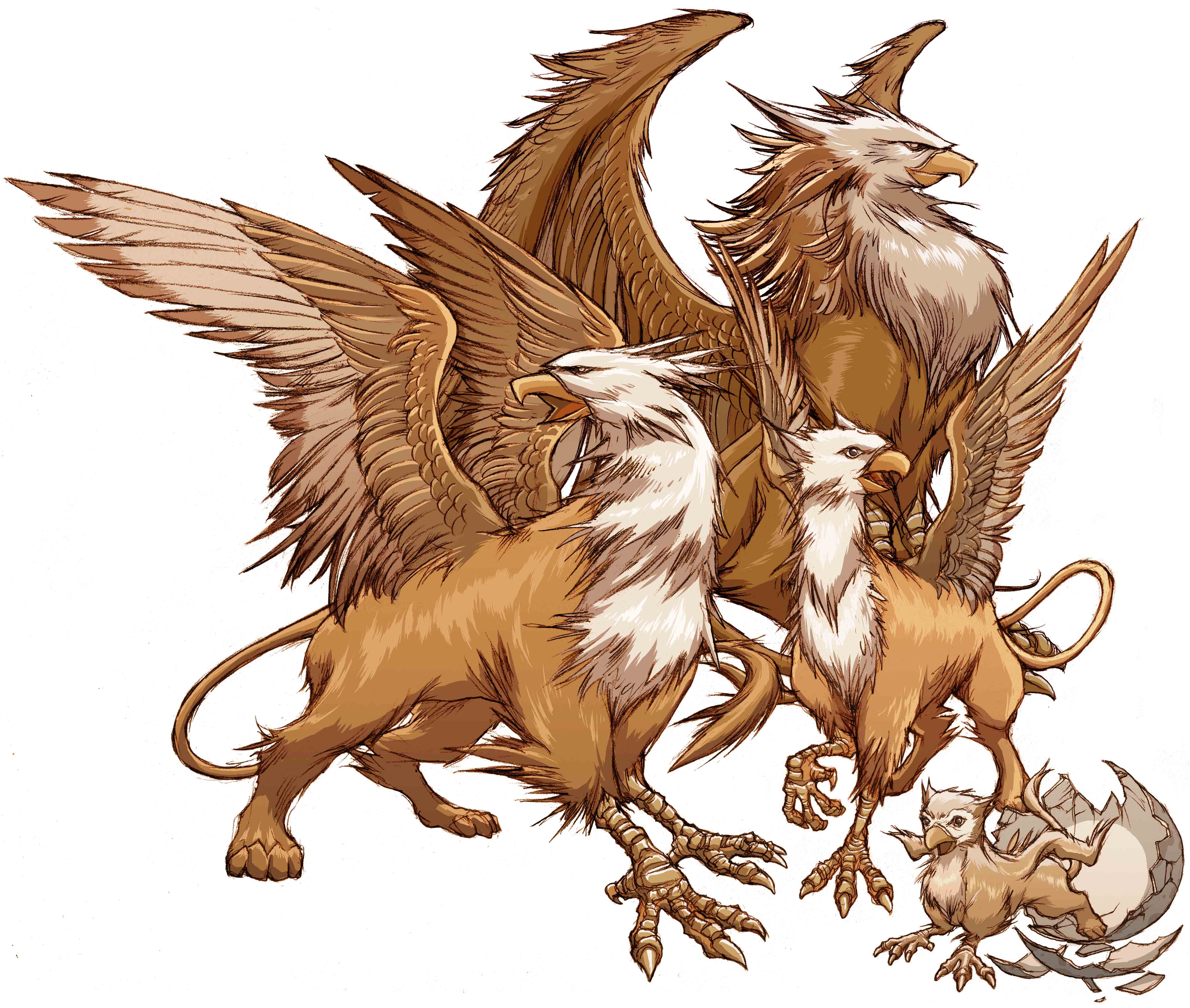 Griffins Mythical Creatures Wallpapers