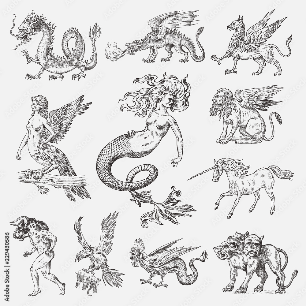 Griffins Mythical Creatures Wallpapers