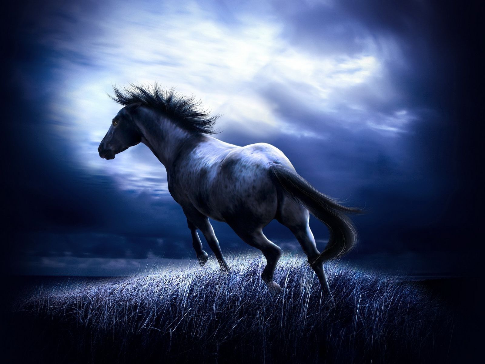 Grim Reaper On Horse Wallpapers