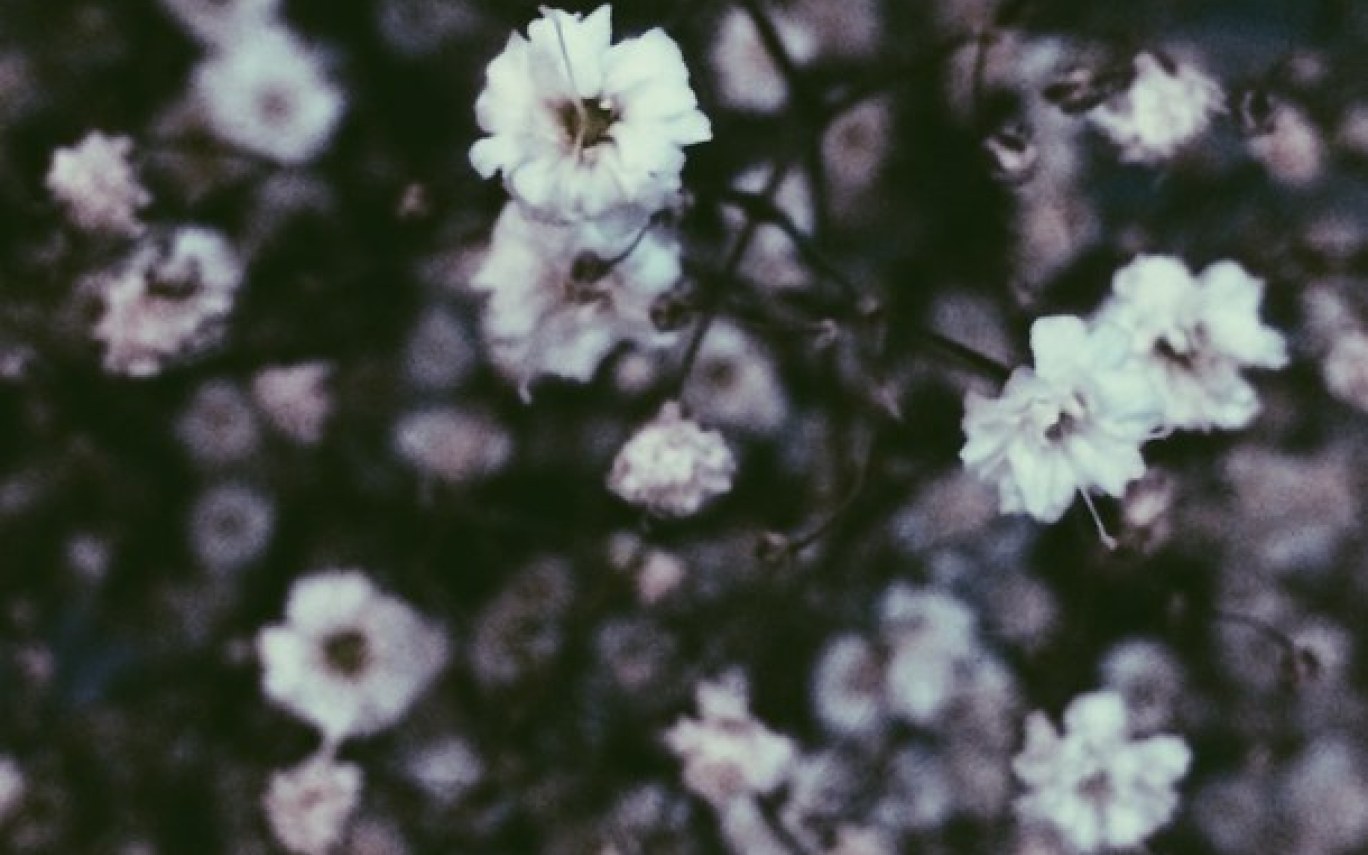 Grunge Flowers Tumblr Wallpapers