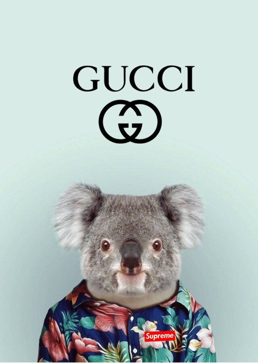 Gucci Bear Wallpapers