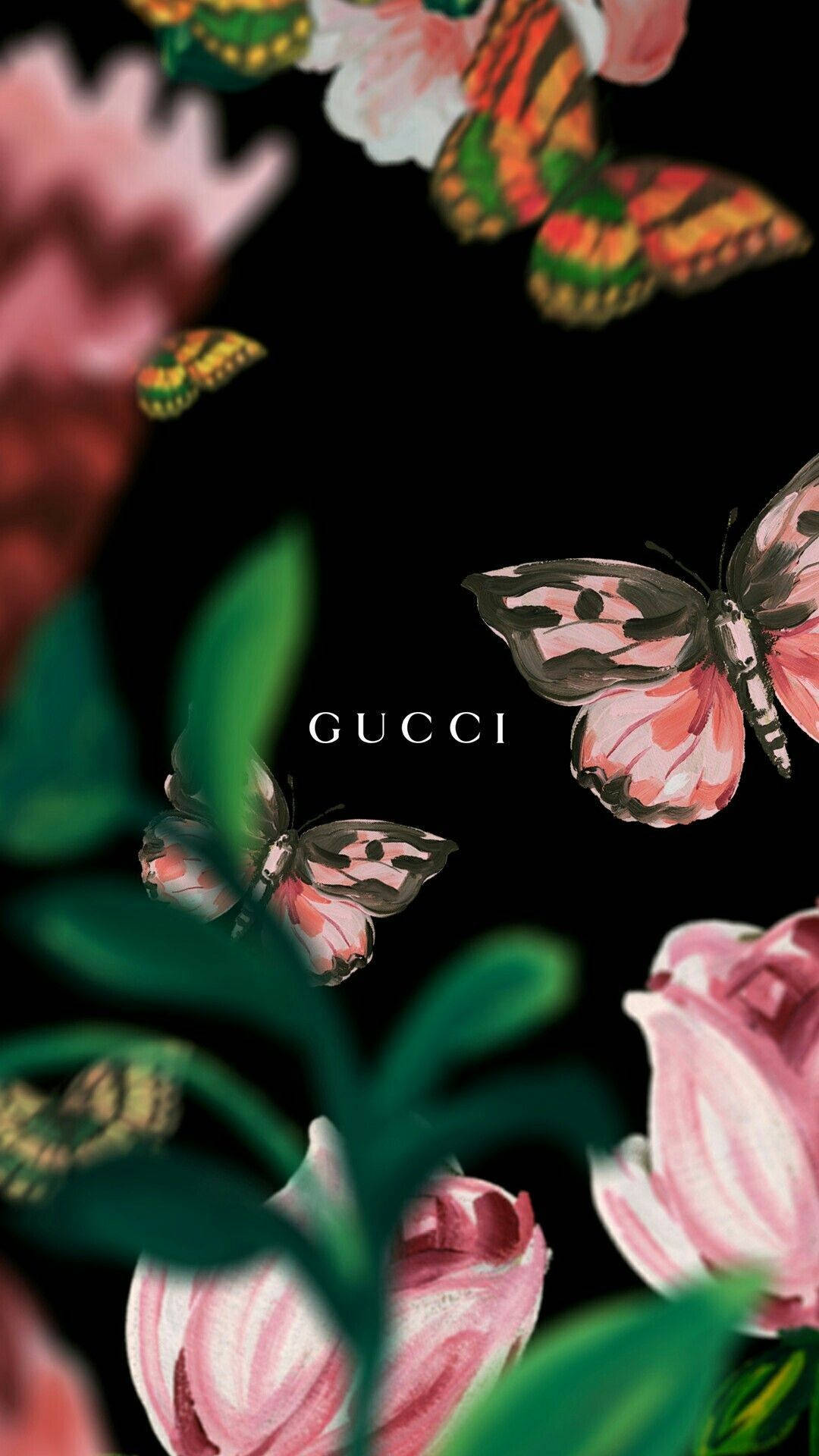 Gucci Bear Wallpapers