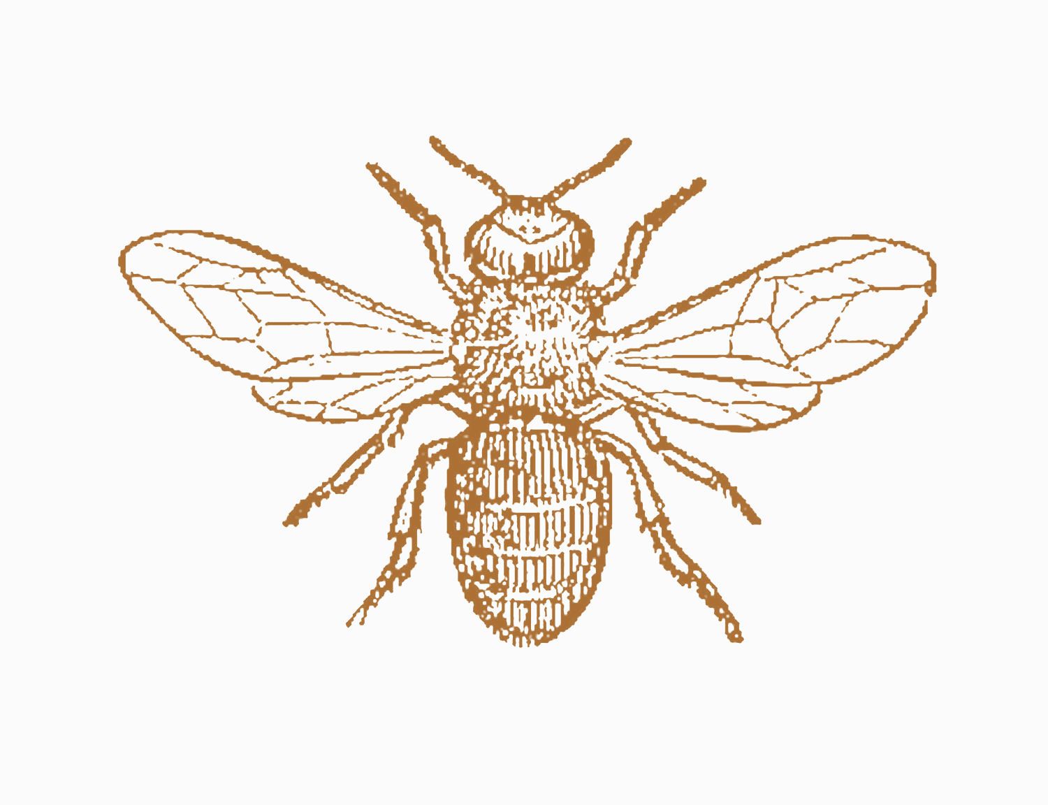 Gucci Bee Image Wallpapers