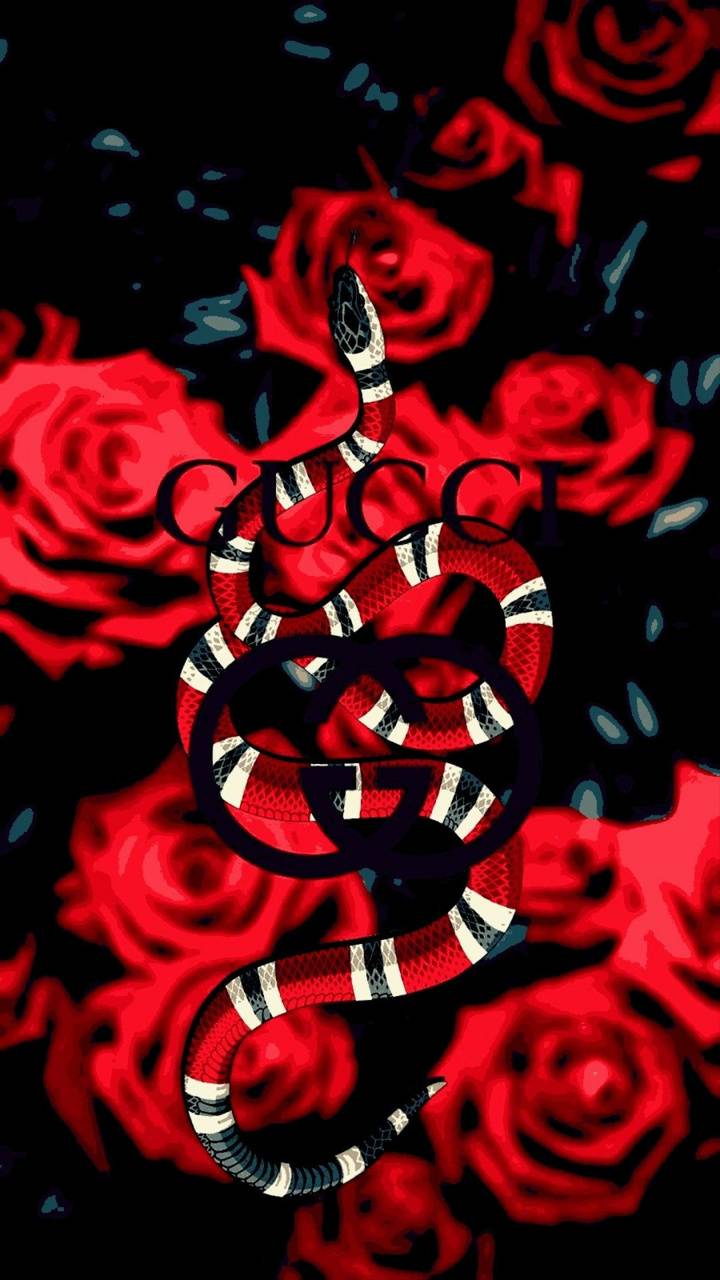 Gucci Red Snake Wallpapers