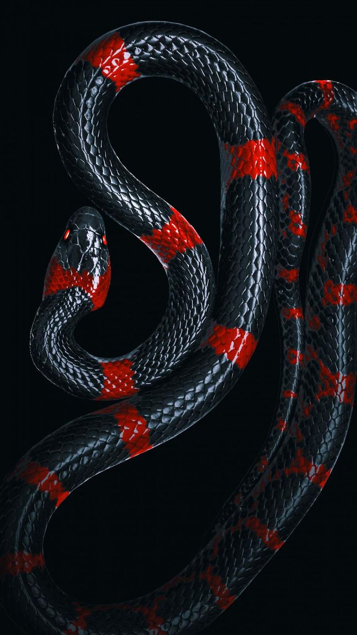 Gucci Red Snake Wallpapers