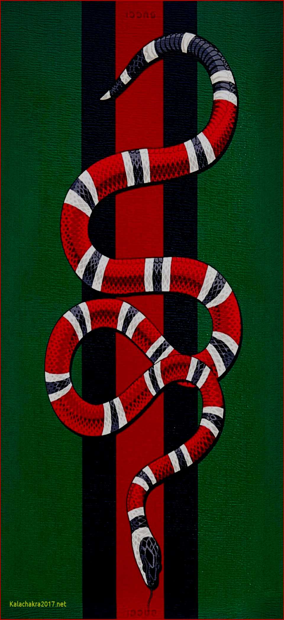 Gucci Red Snake Wallpapers