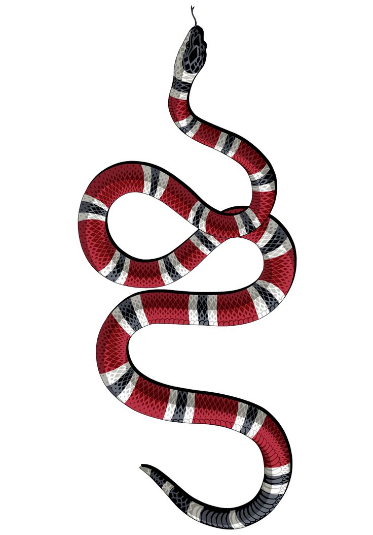 Gucci Red Snake Wallpapers