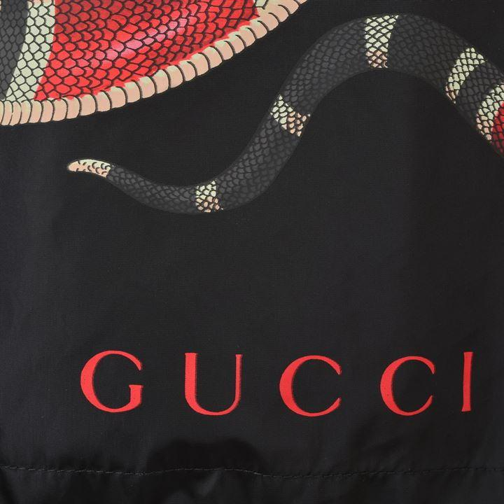 Gucci Red Snake Wallpapers