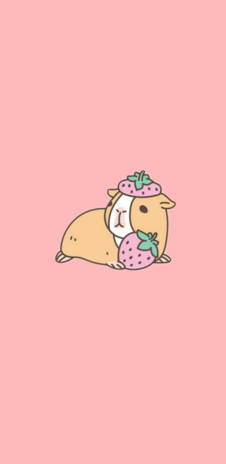 Guinea Pig Iphone Wallpapers