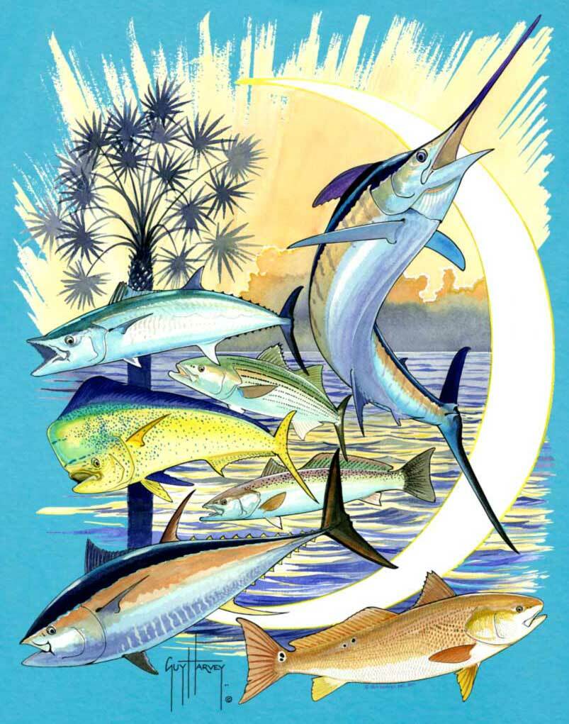 Guy Harvey Iphone Wallpapers