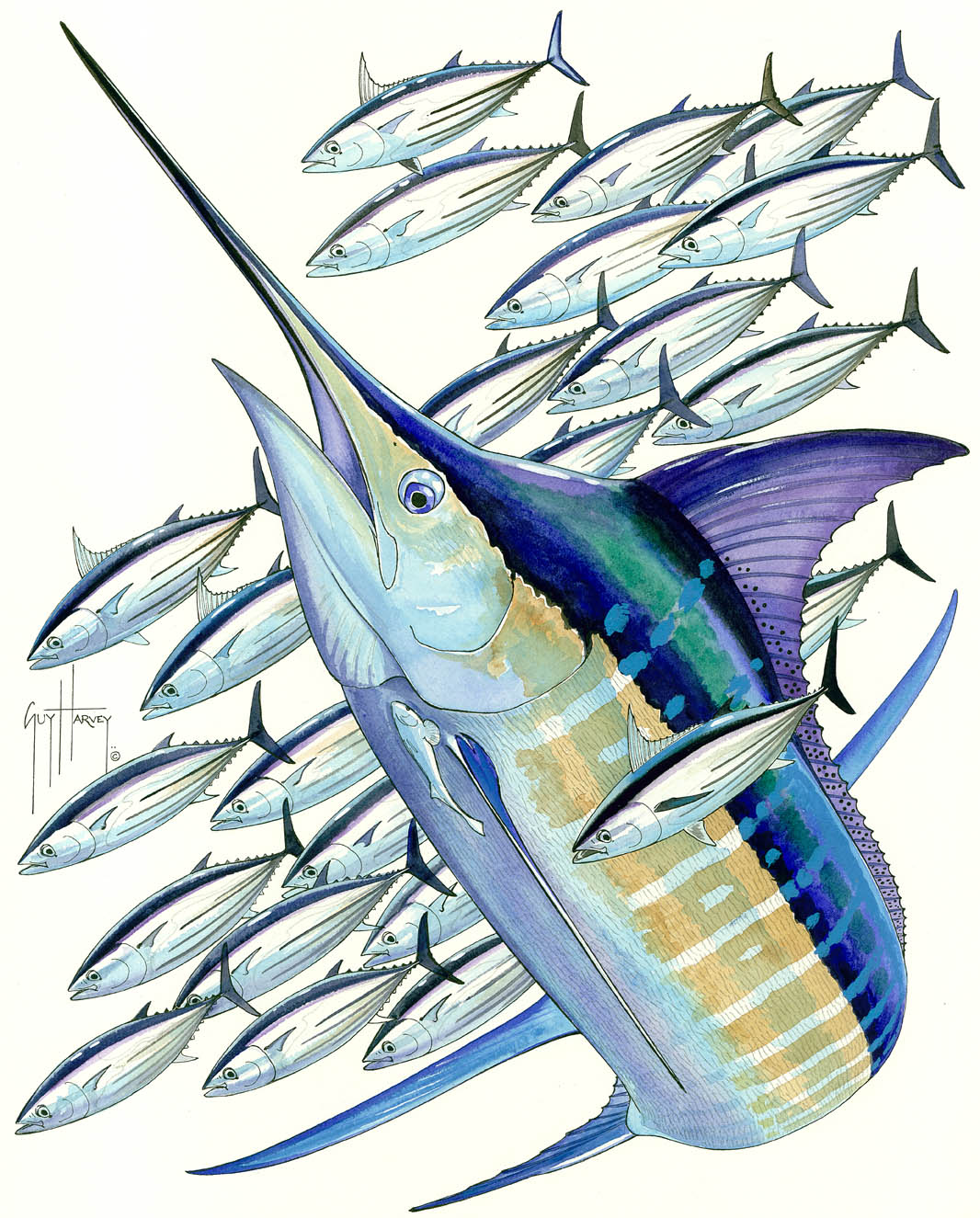 Guy Harvey Iphone Wallpapers